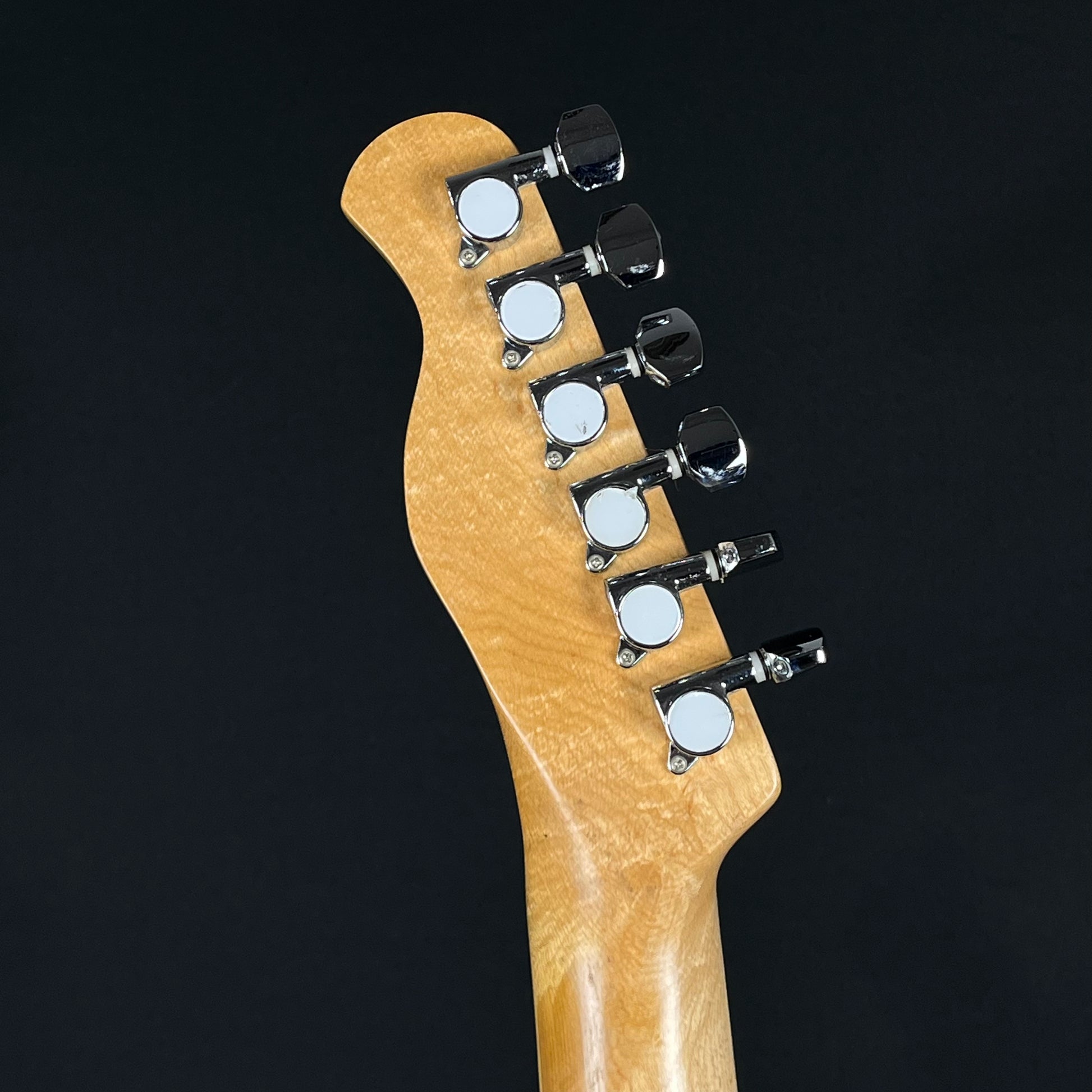 Bacchus Universe Series Telecaster