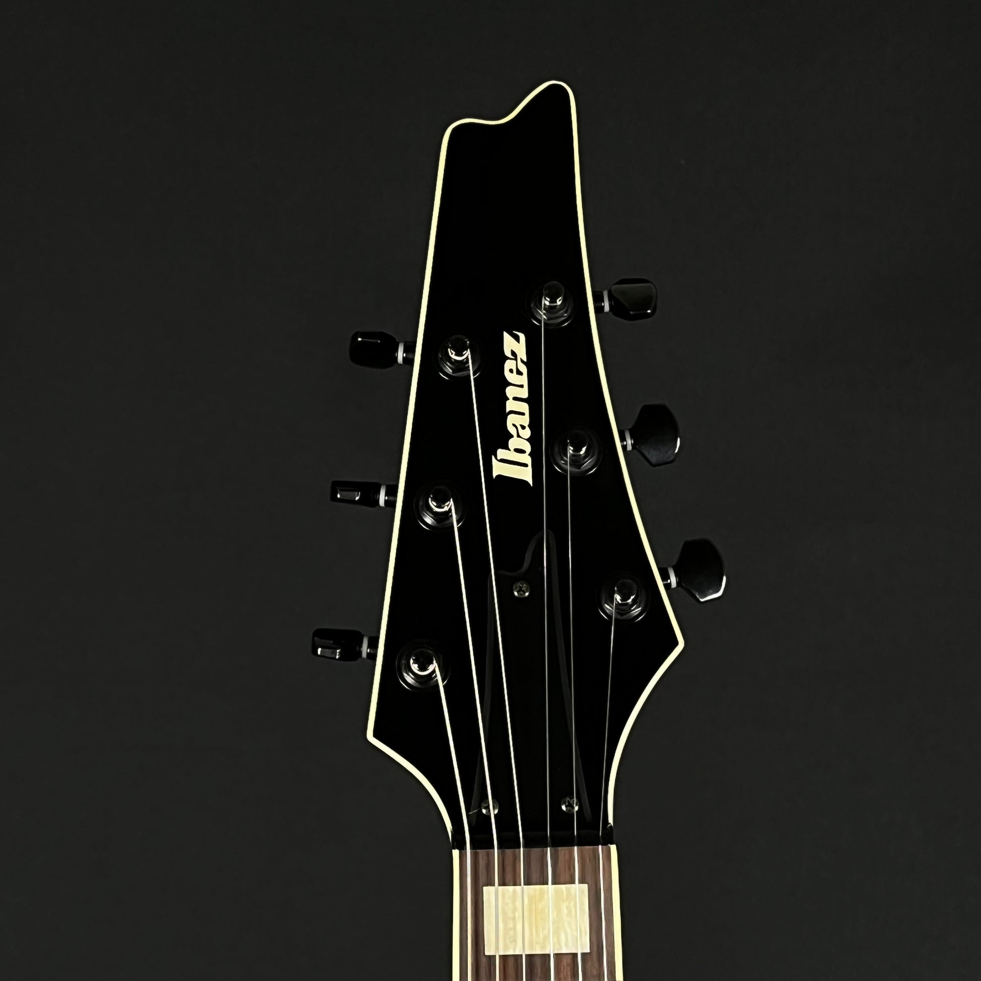 Ibanez IC500
