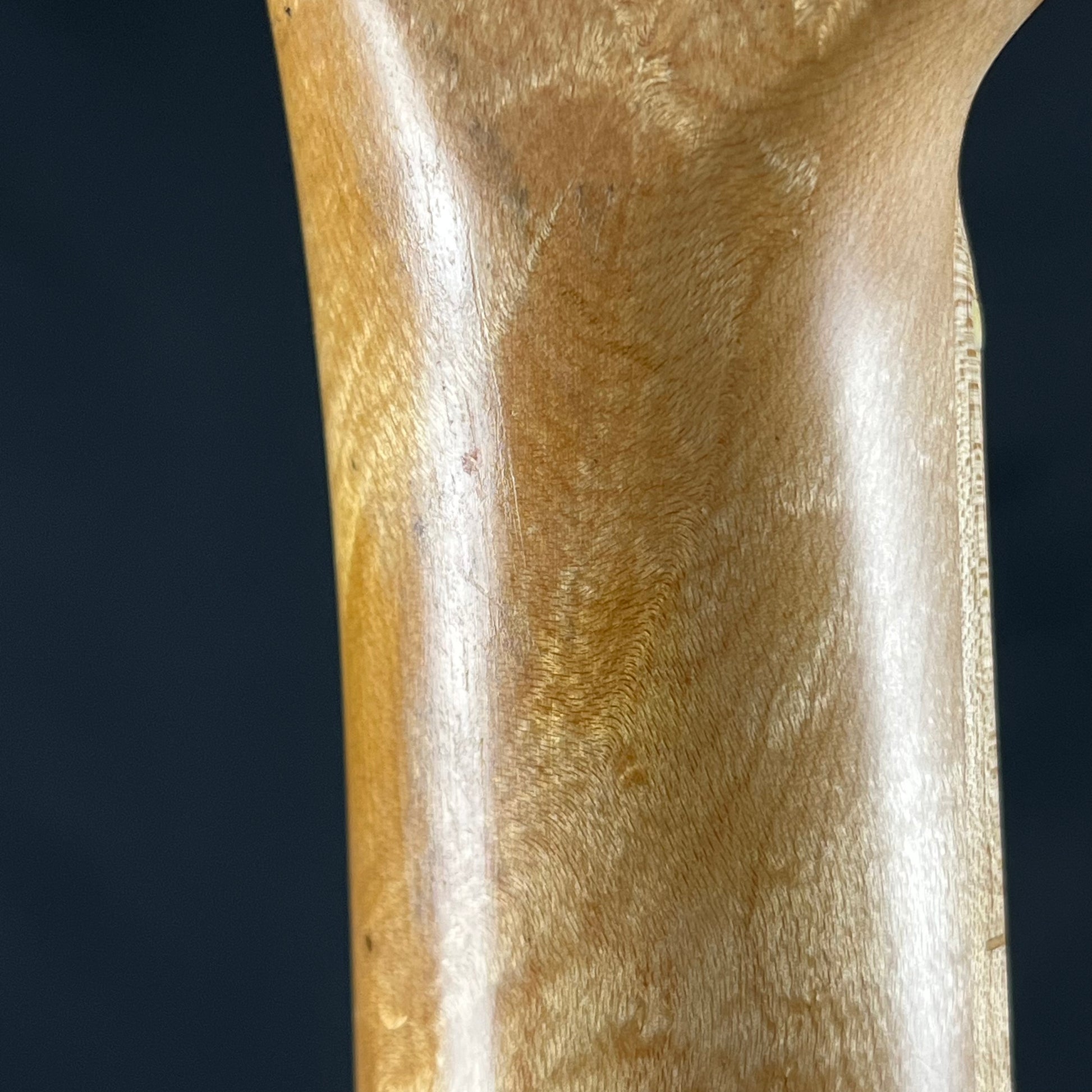 Bacchus Universe Series Telecaster