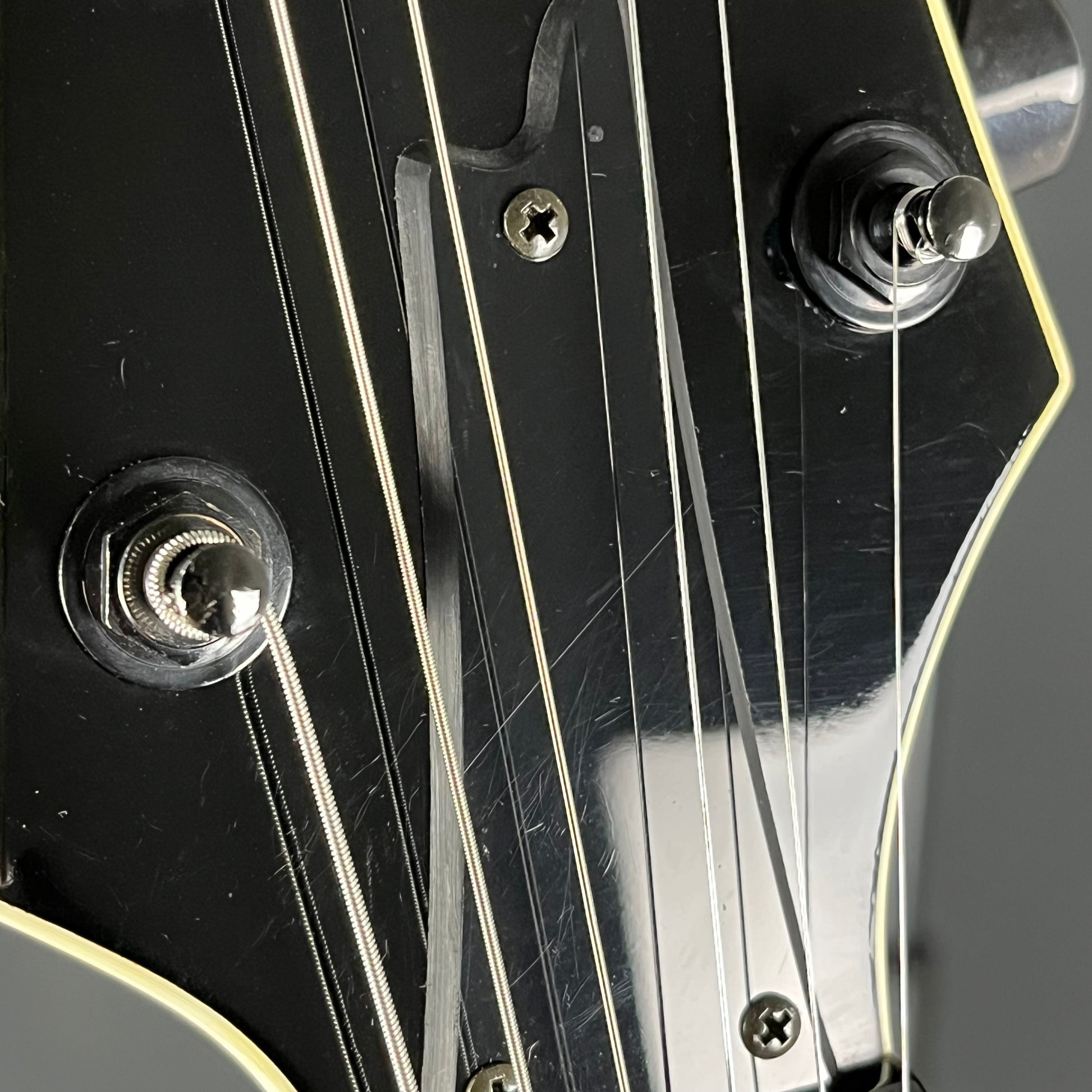 Ibanez IC500