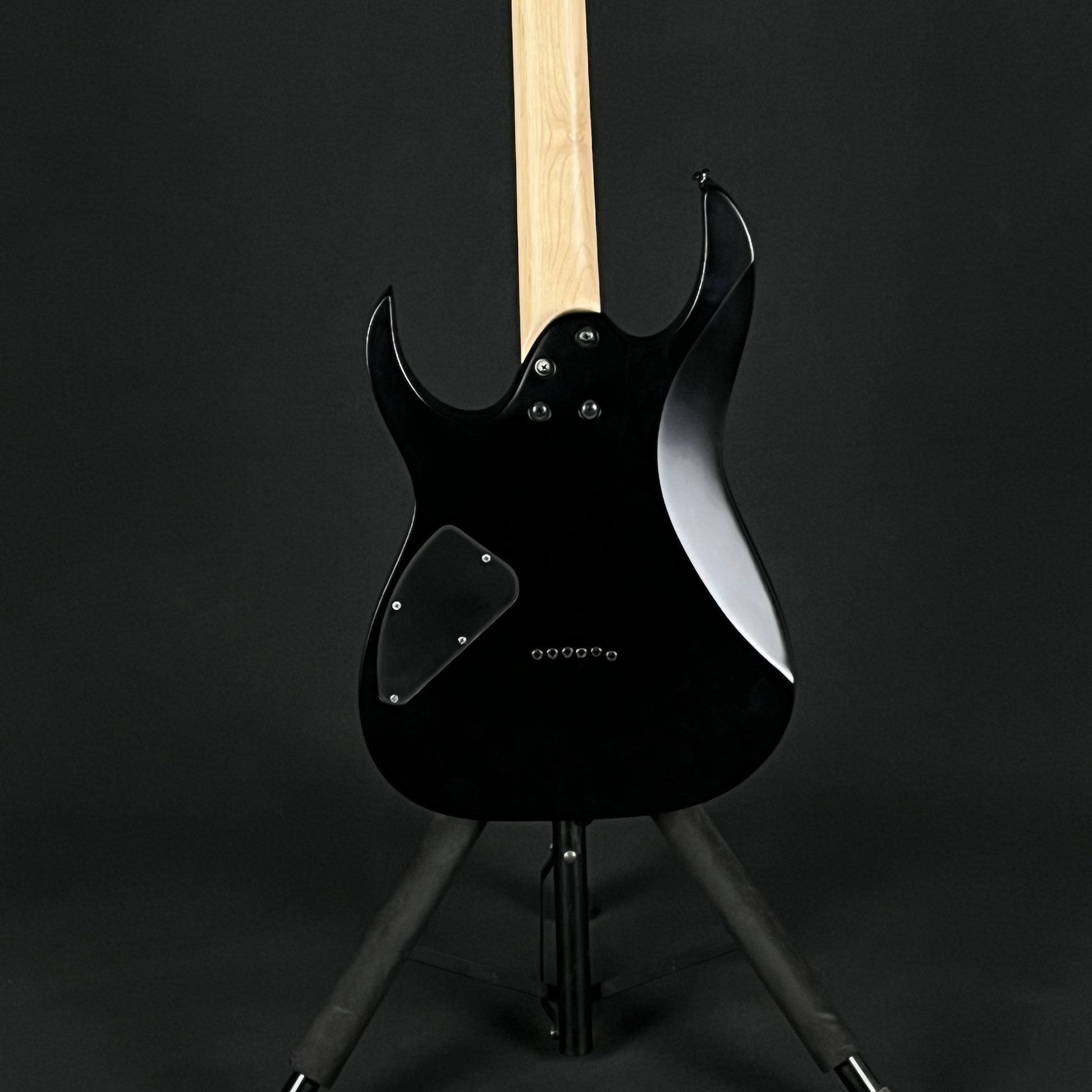 Ibanez RG421EX