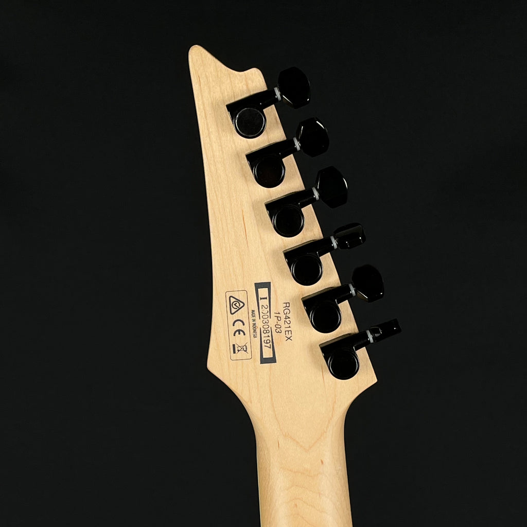 Ibanez RG421EX