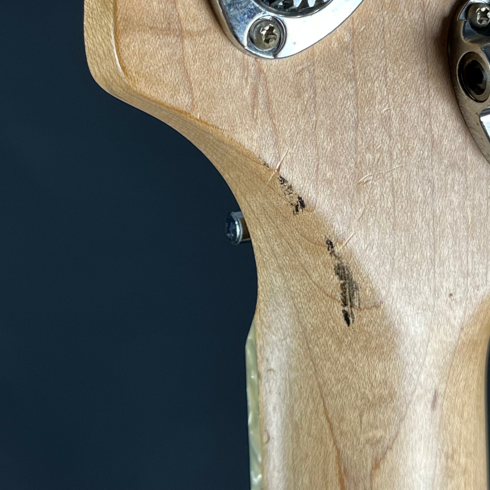 Bacchus Japan  WOODLINE Exotic Wood Bass