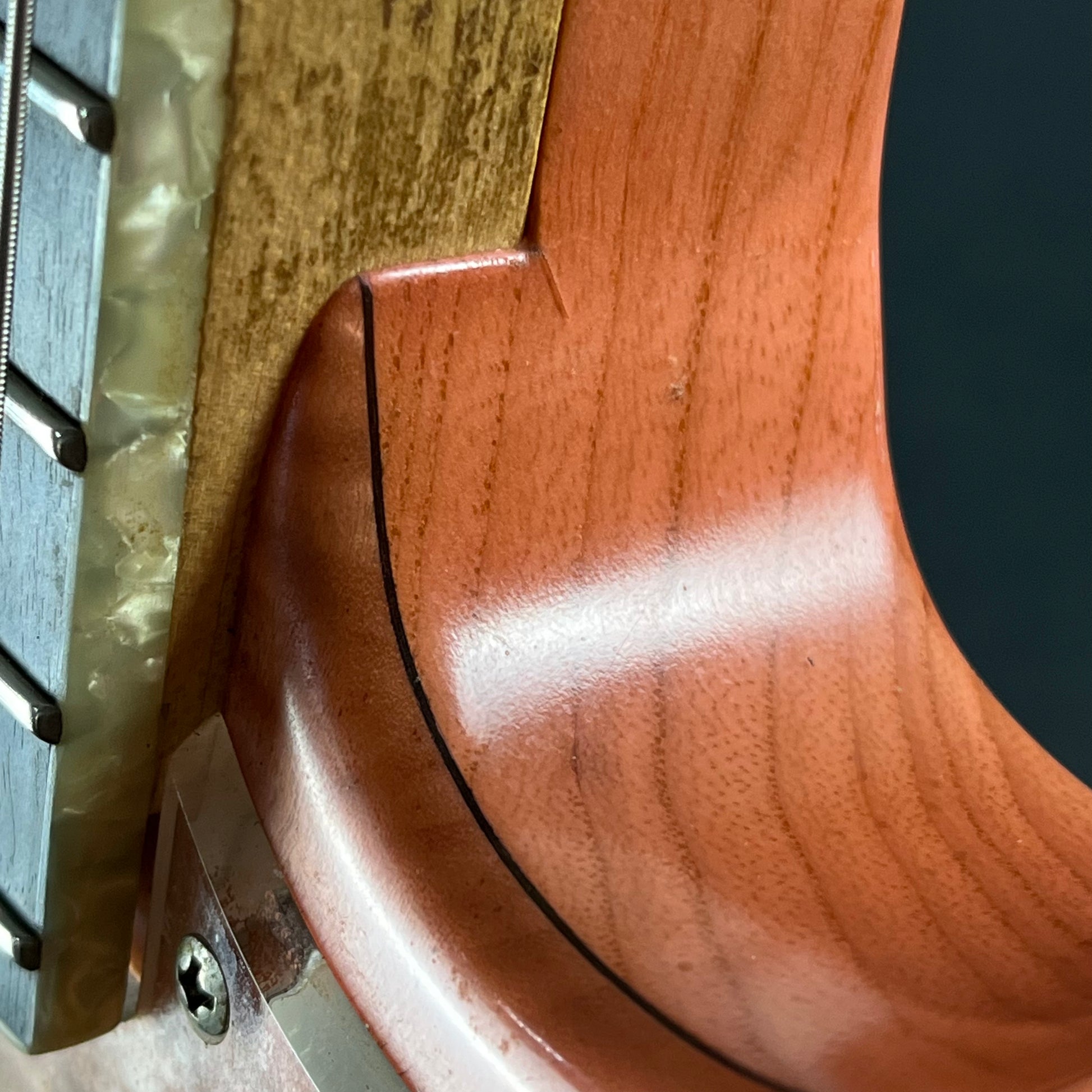 Bacchus Japan  WOODLINE Exotic Wood Bass