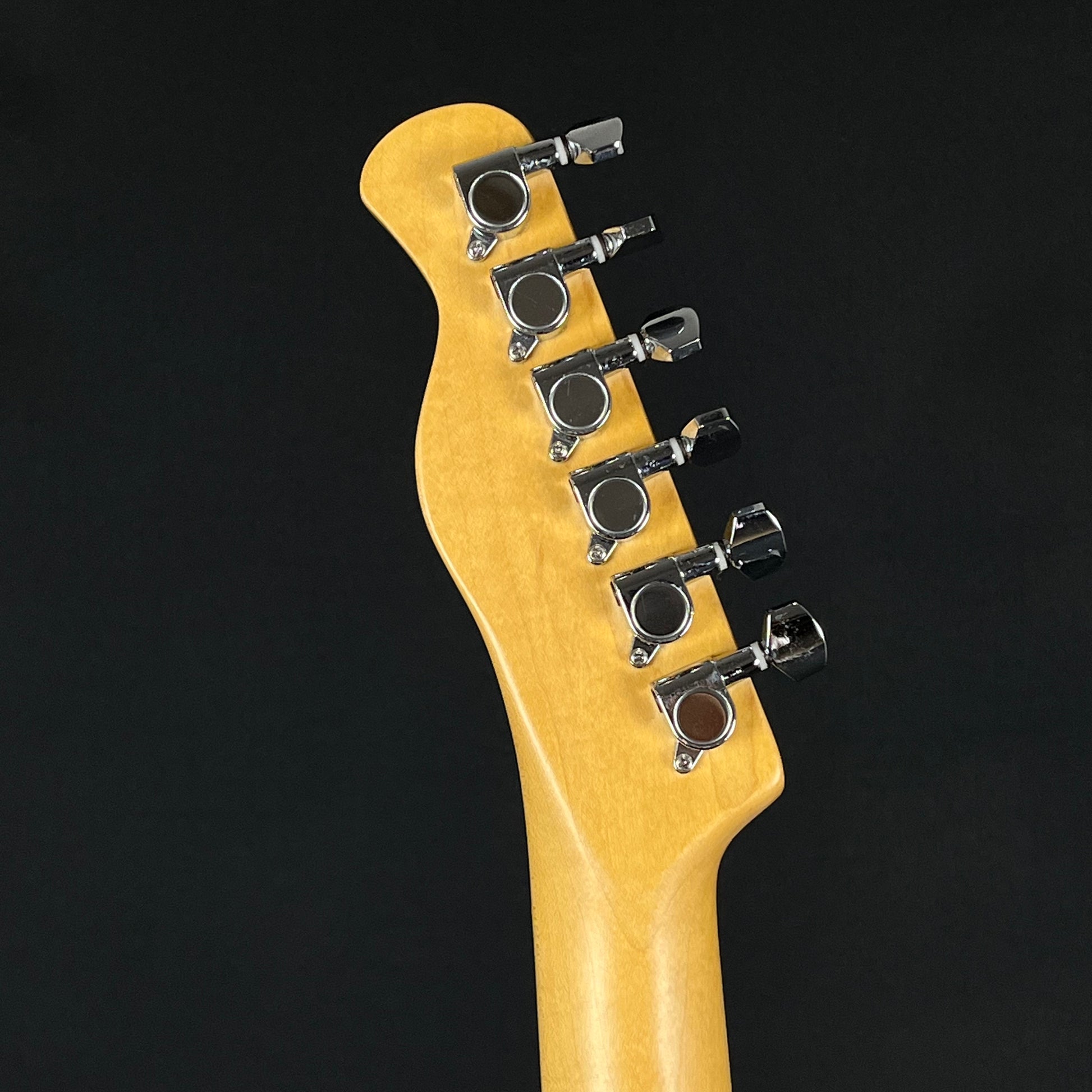 Bacchus Universe Series Telecaster