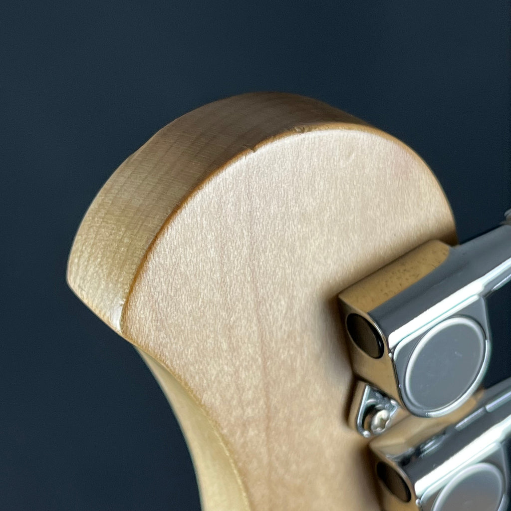 Bacchus G-STUDIO PLD