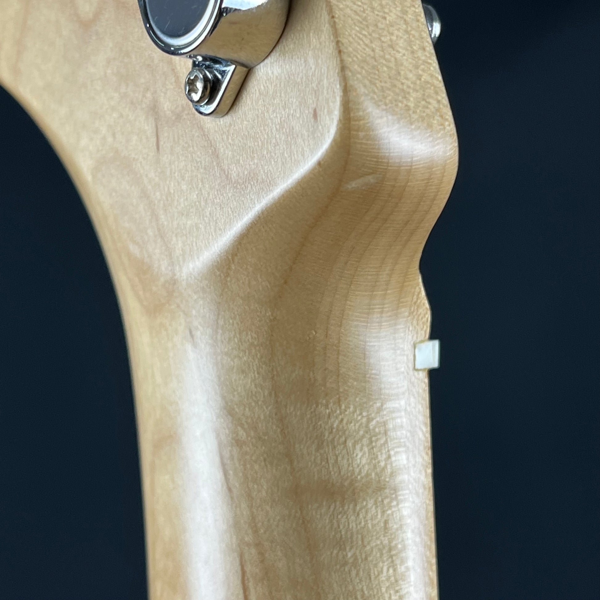 Bacchus G-STUDIO PLD