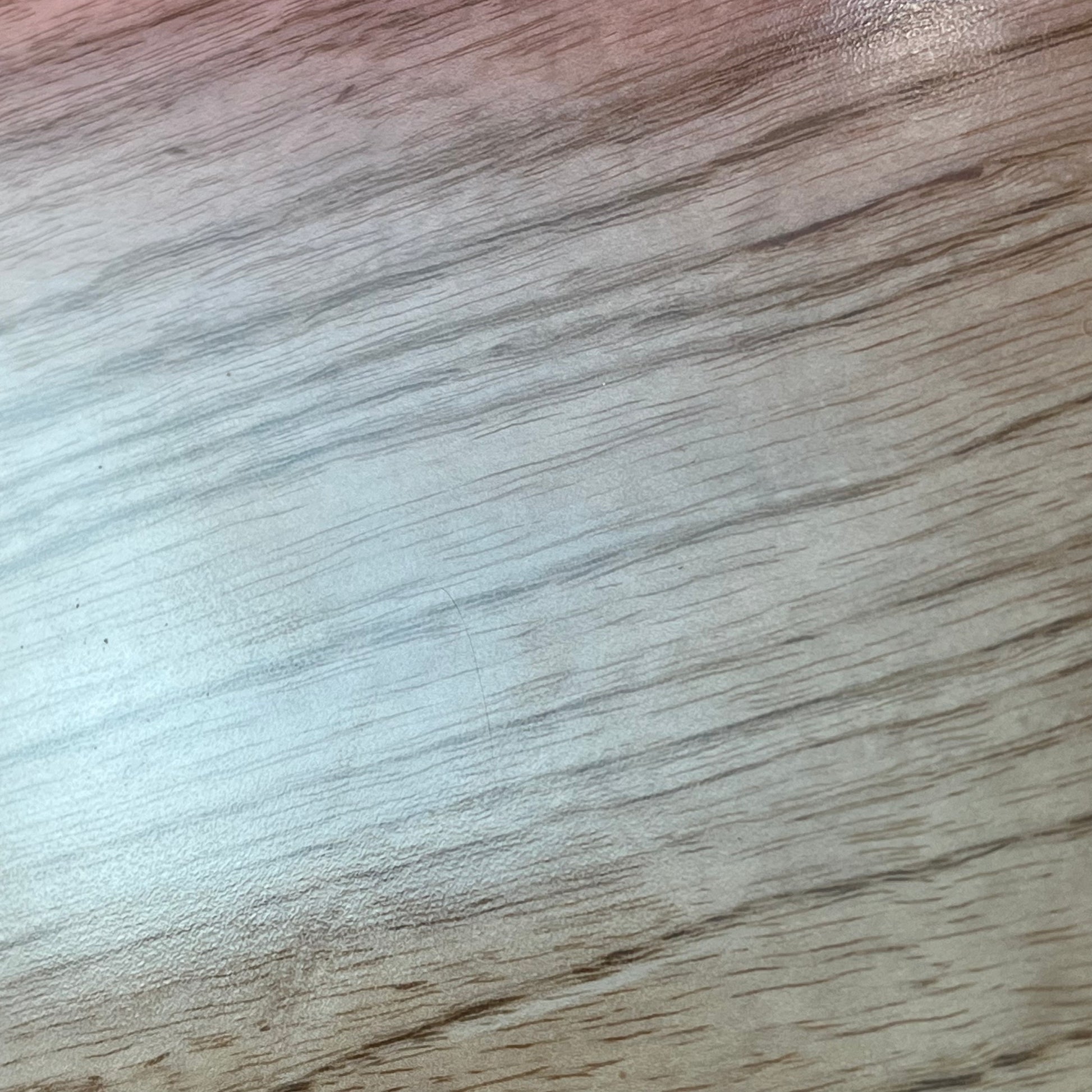 Bacchus Japan  WOODLINE Exotic Wood Bass