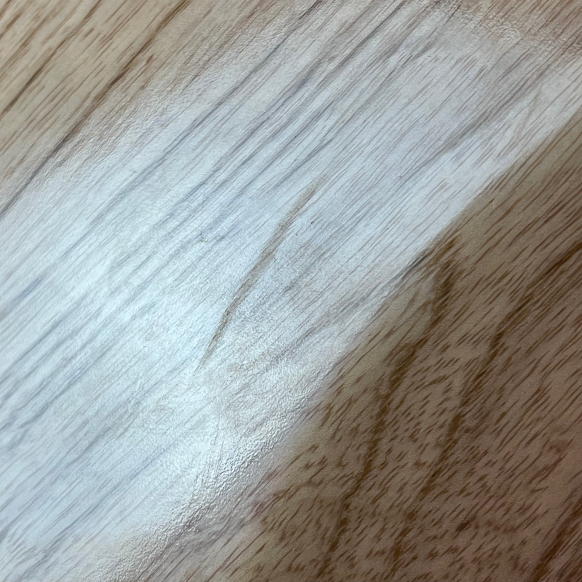 Bacchus Japan  WOODLINE Exotic Wood Bass