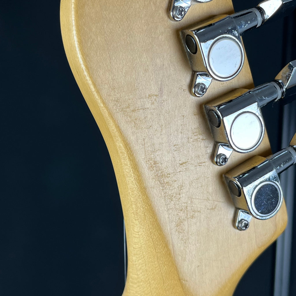Bacchus Universe Series Telecaster