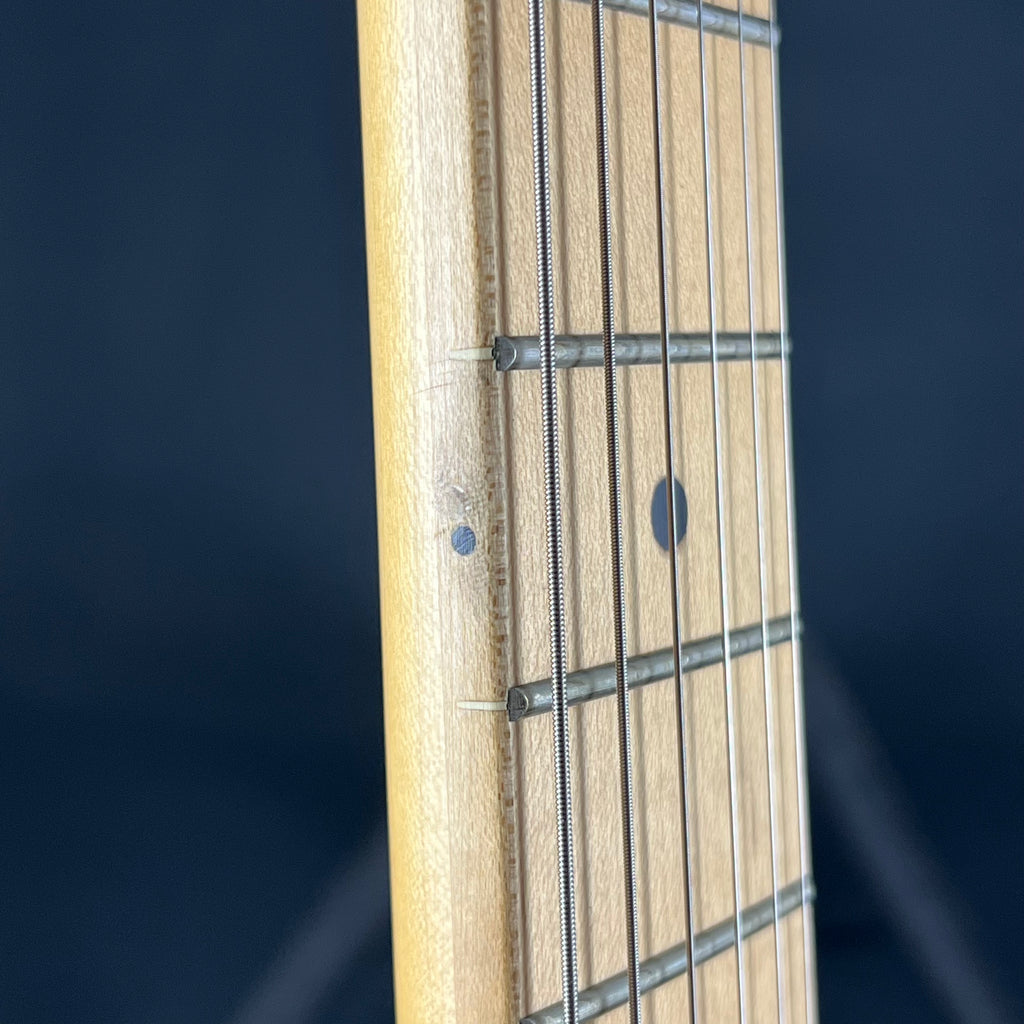 Bacchus Universe Series Telecaster