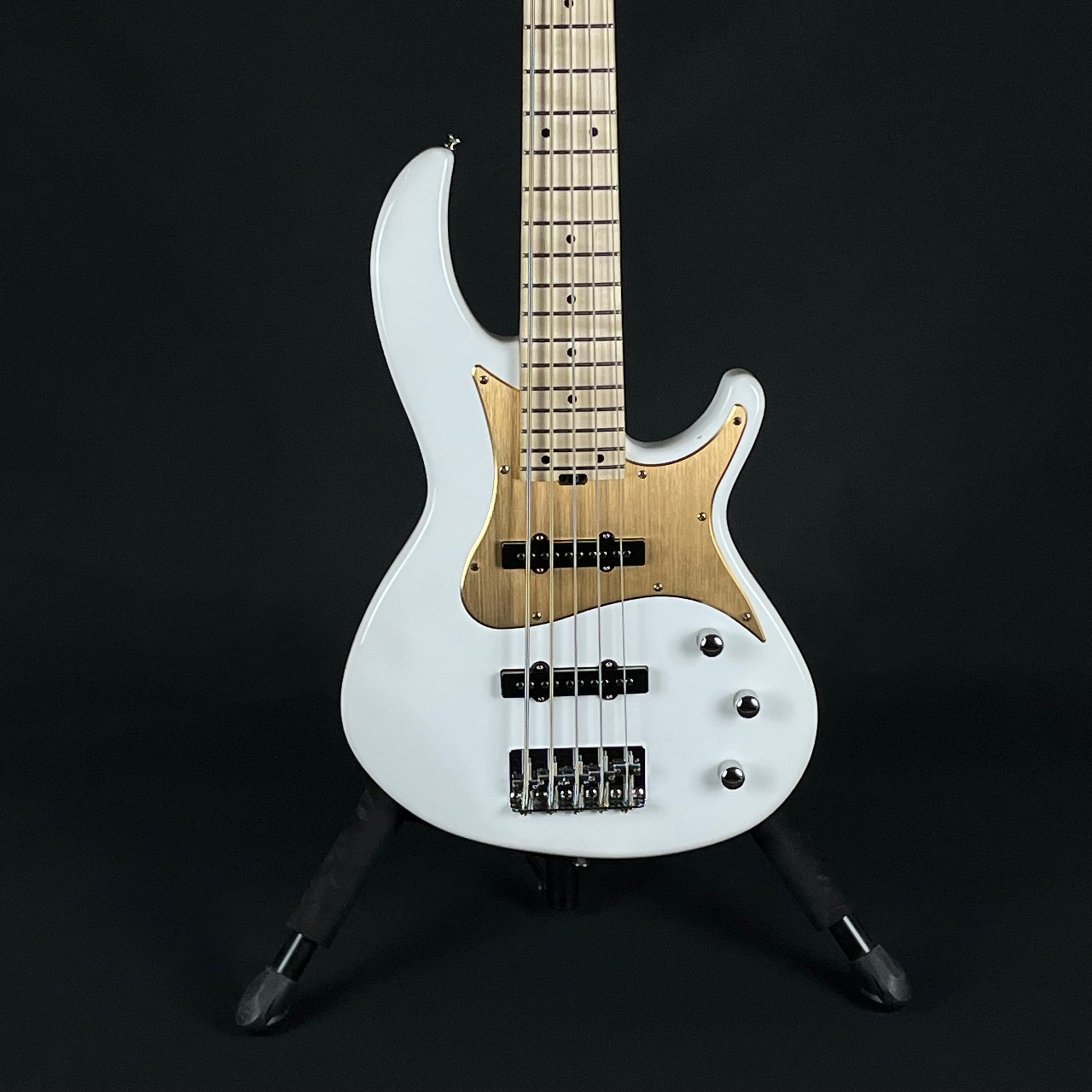 Aria Pro II RSB-618/5 Bass