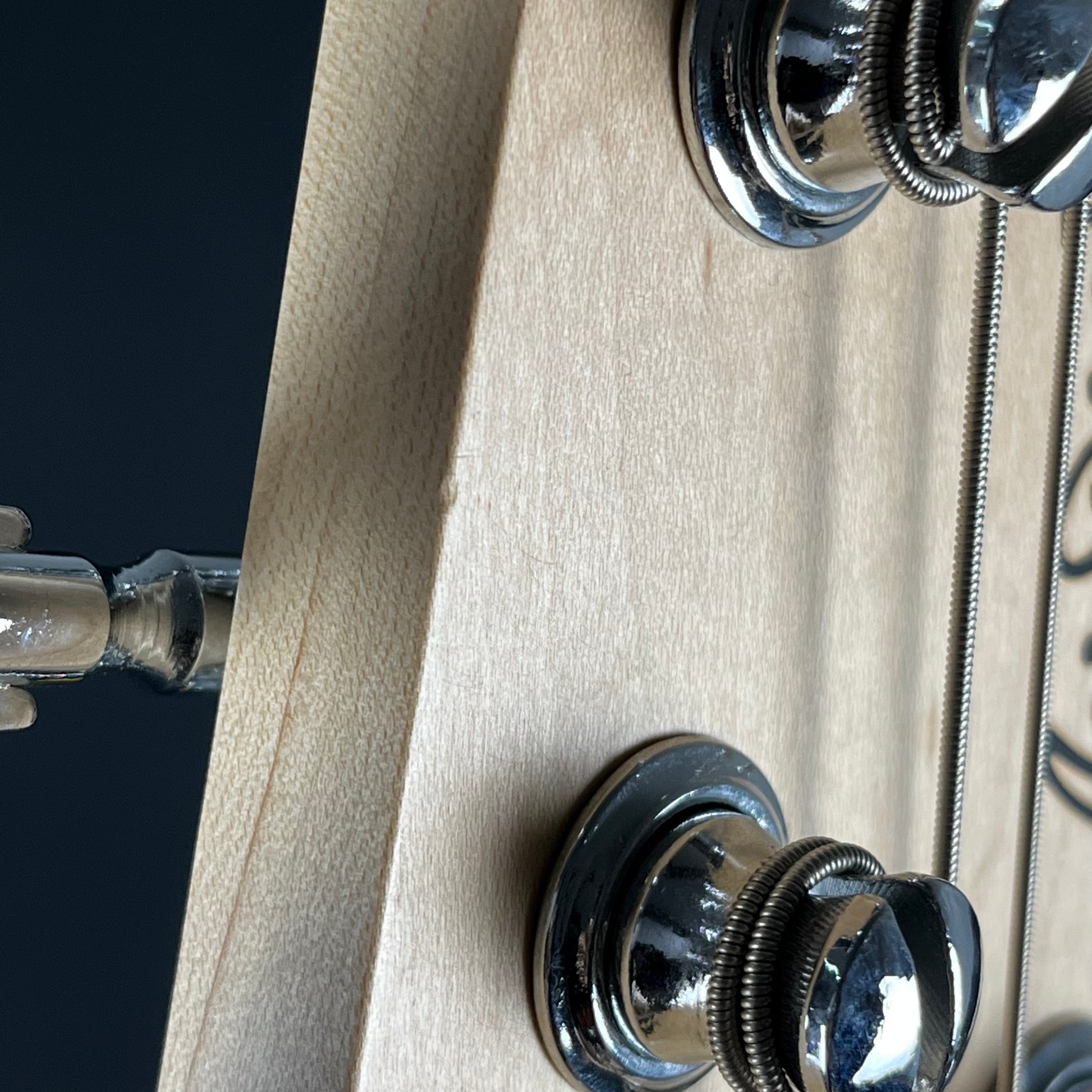 Aria Pro II RSB-618/5 Bass