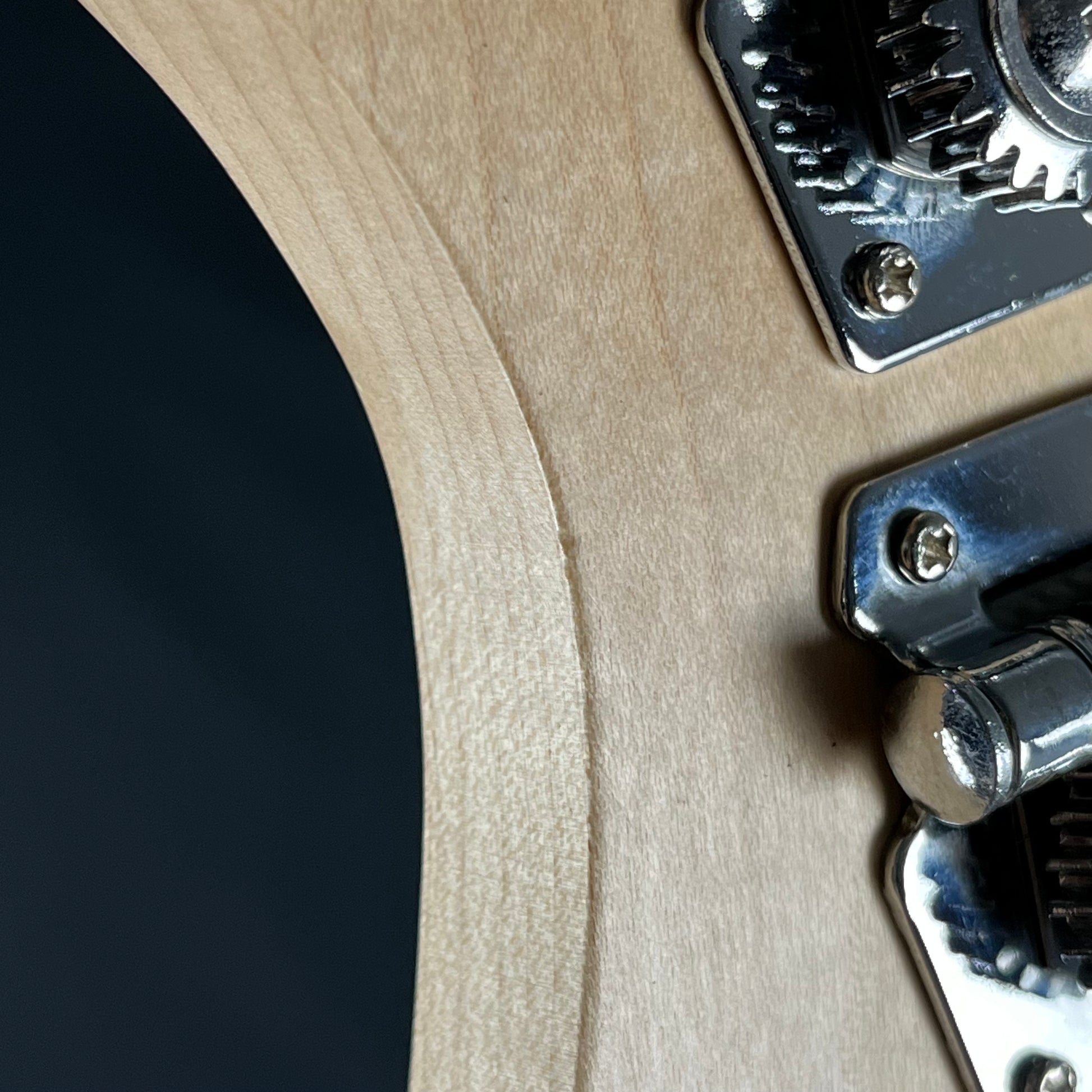 Aria Pro II RSB-618/5 Bass