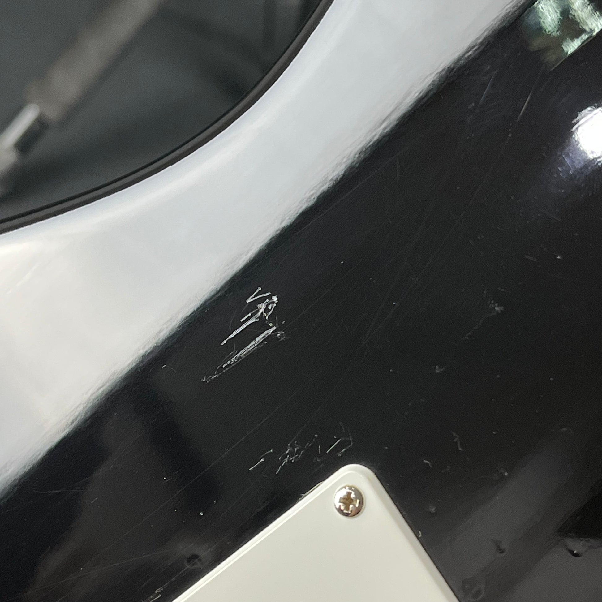 Bacchus G-STUDIO PLD