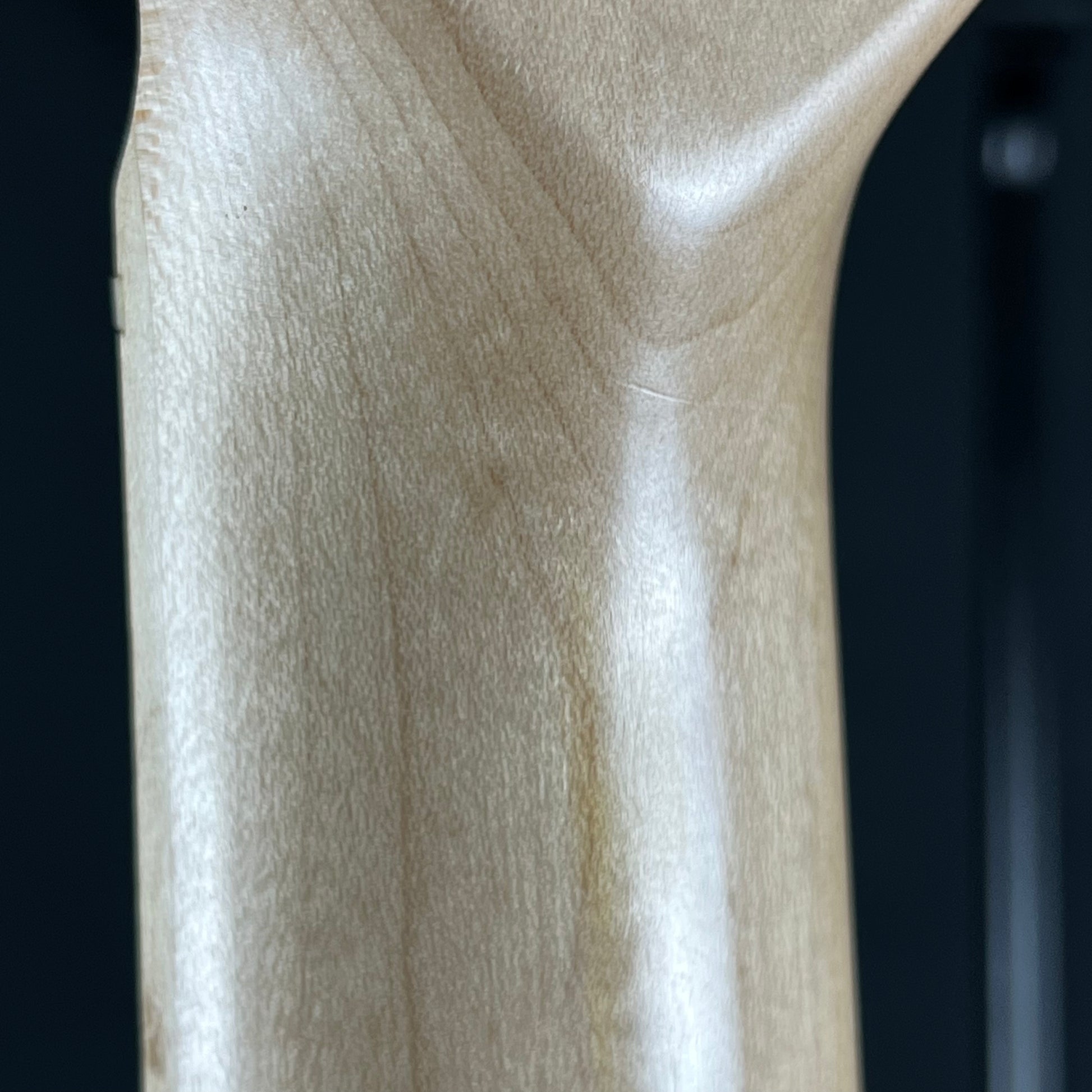 Aria Pro II RSB-618/5 Bass