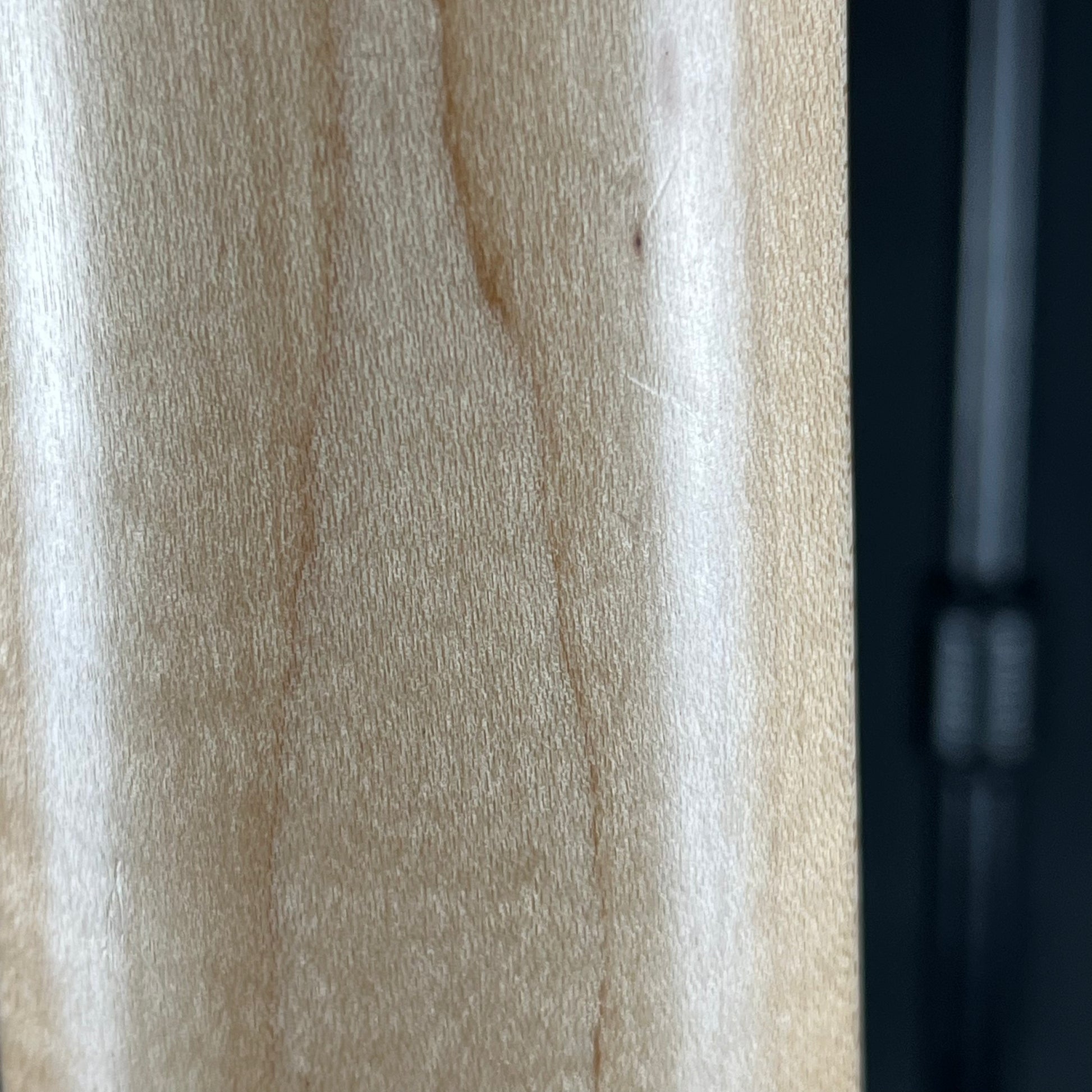 Aria Pro II RSB-618/5 Bass