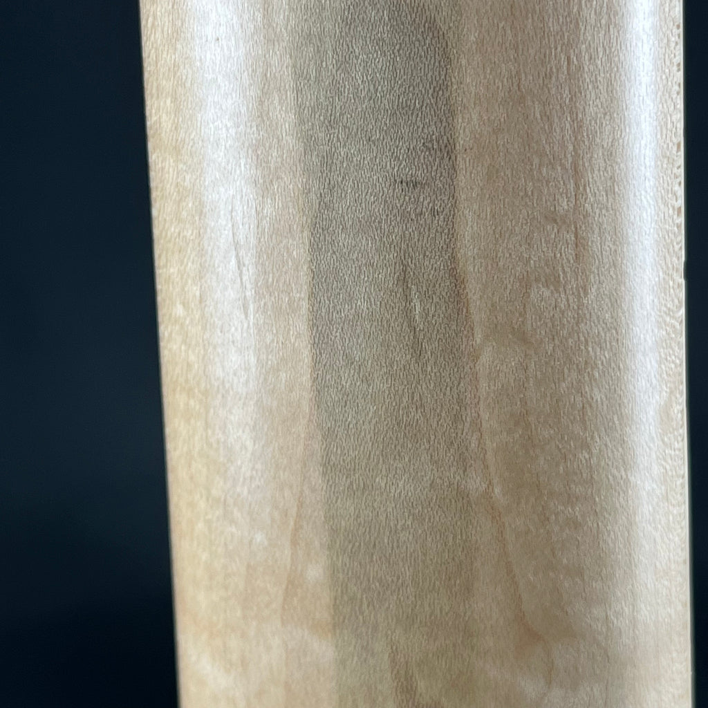 Aria Pro II RSB-618/5 Bass