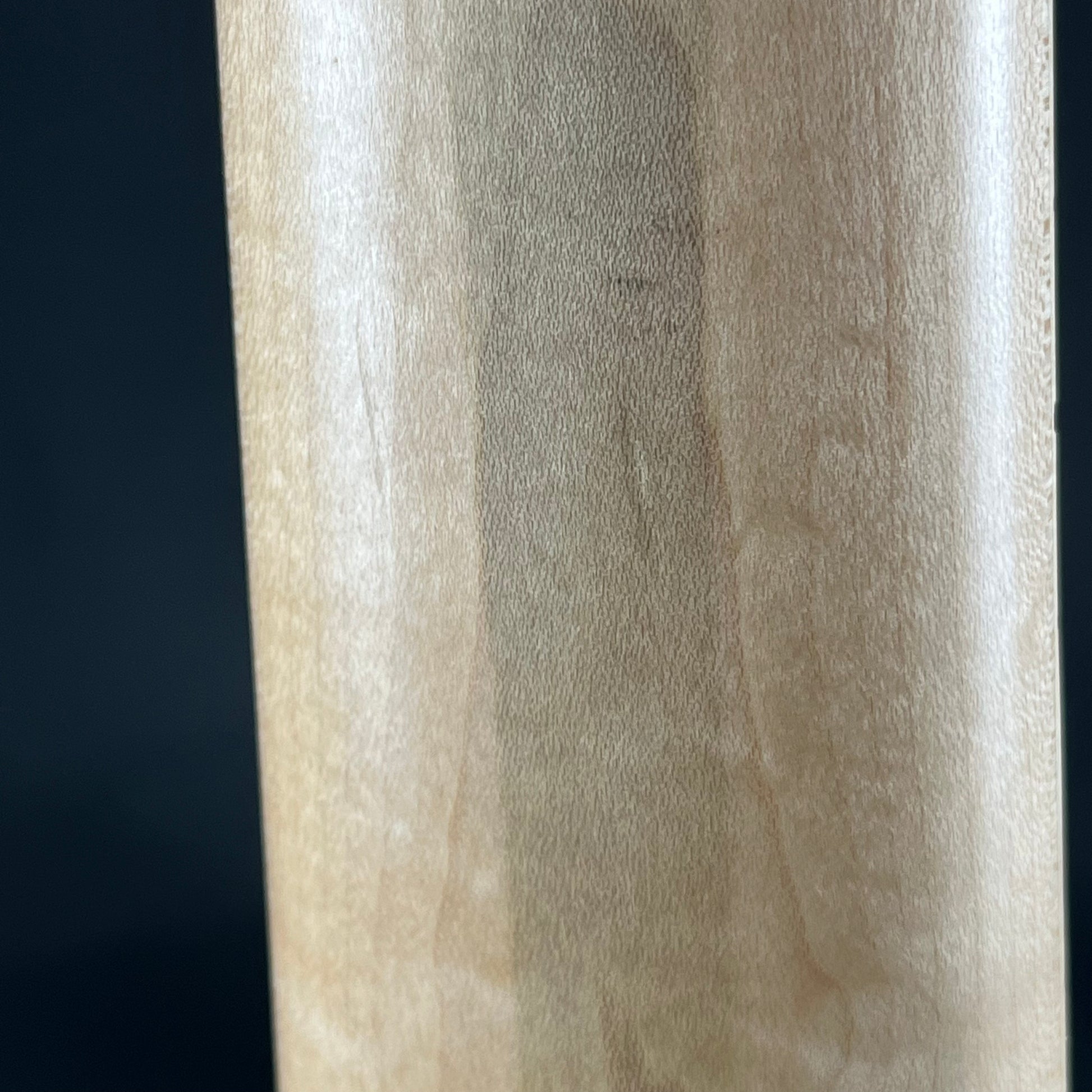 Aria Pro II RSB-618/5 Bass