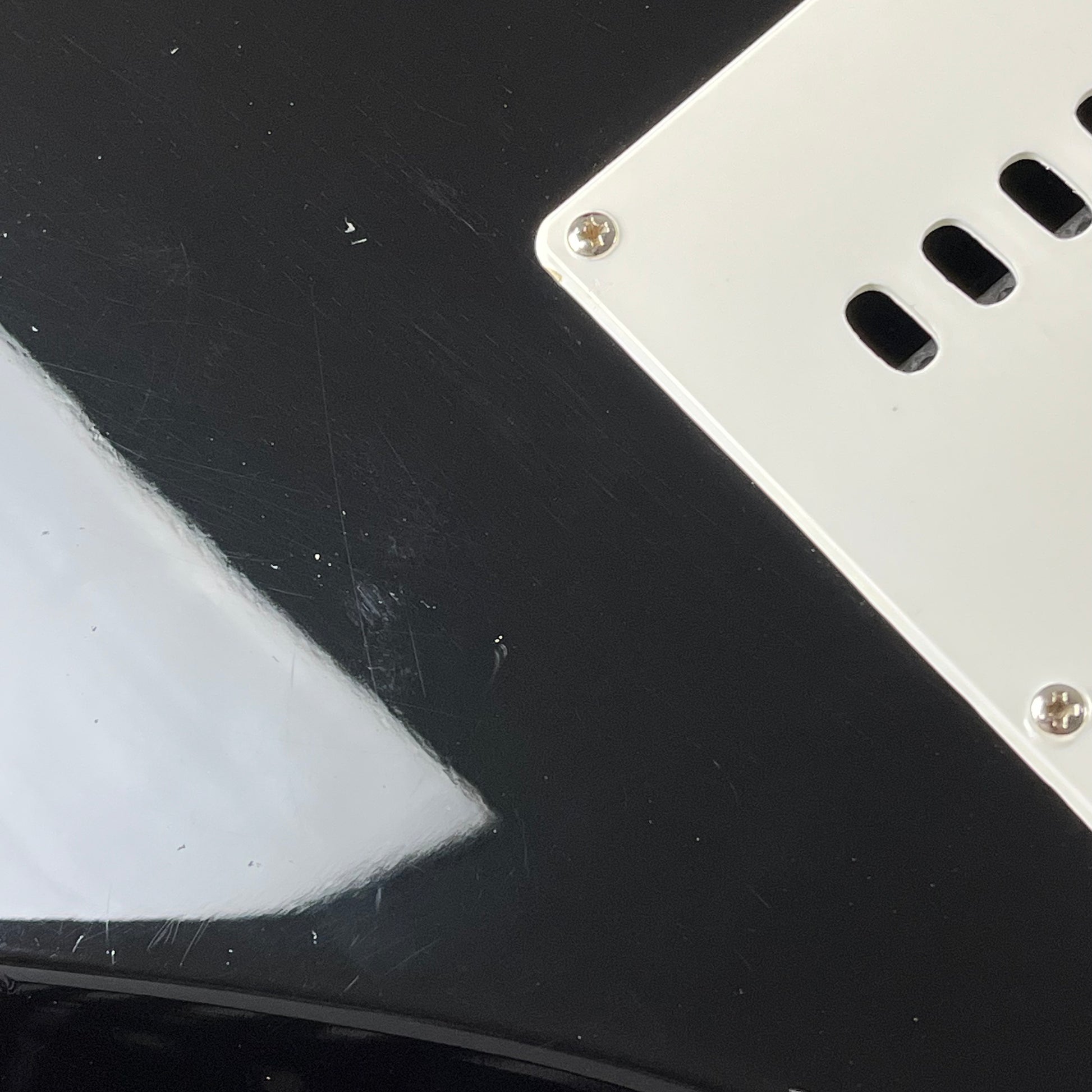 Bacchus G-STUDIO PLD