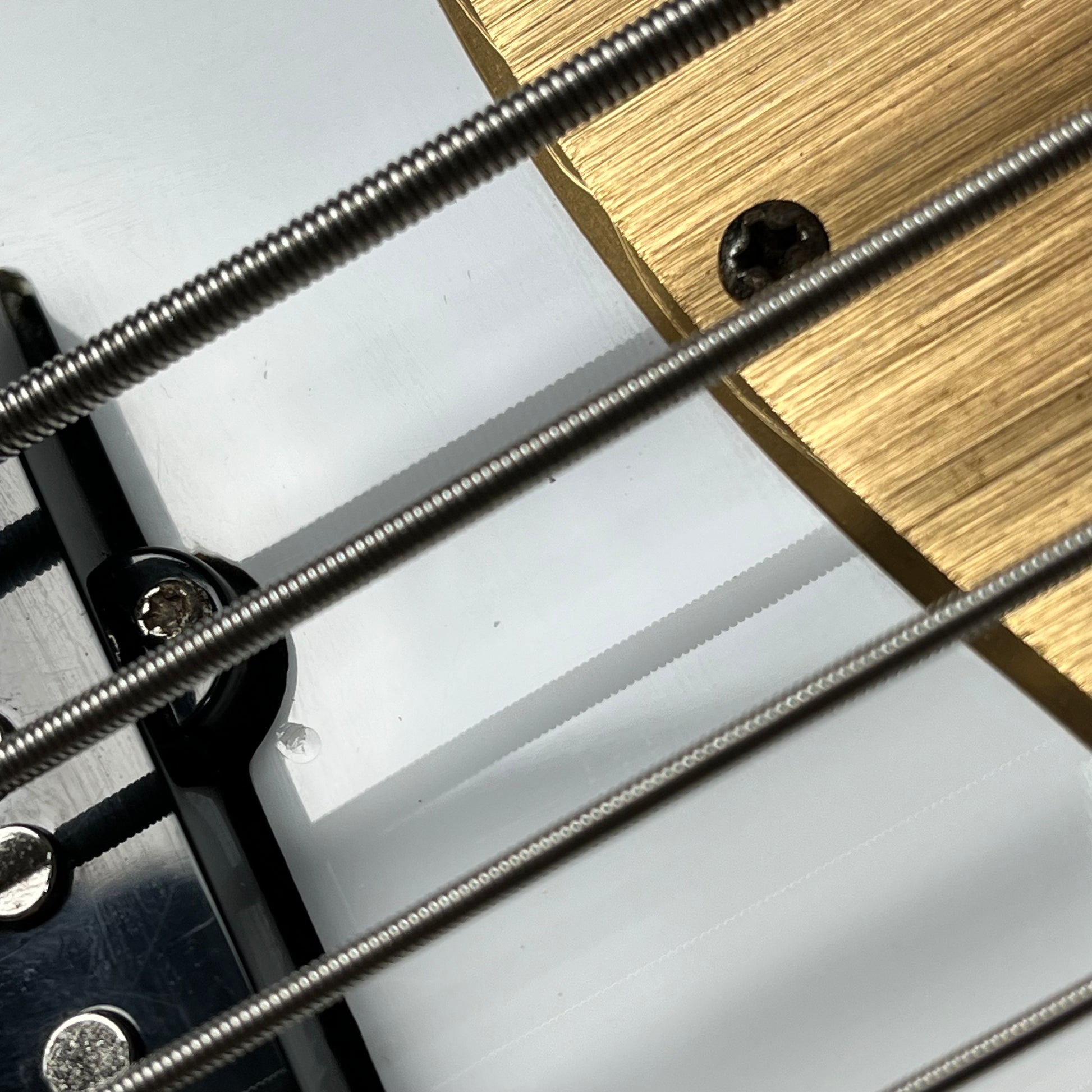 Aria Pro II RSB-618/5 Bass