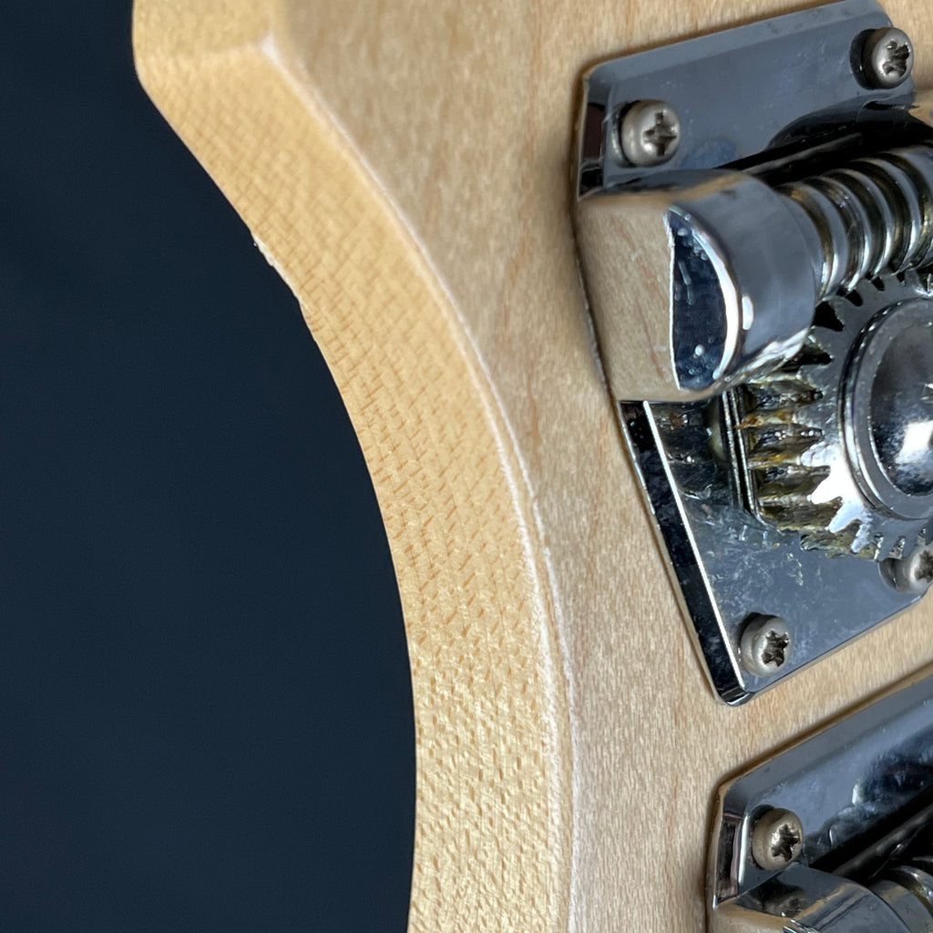 Bacchus BJB-1R Fretless