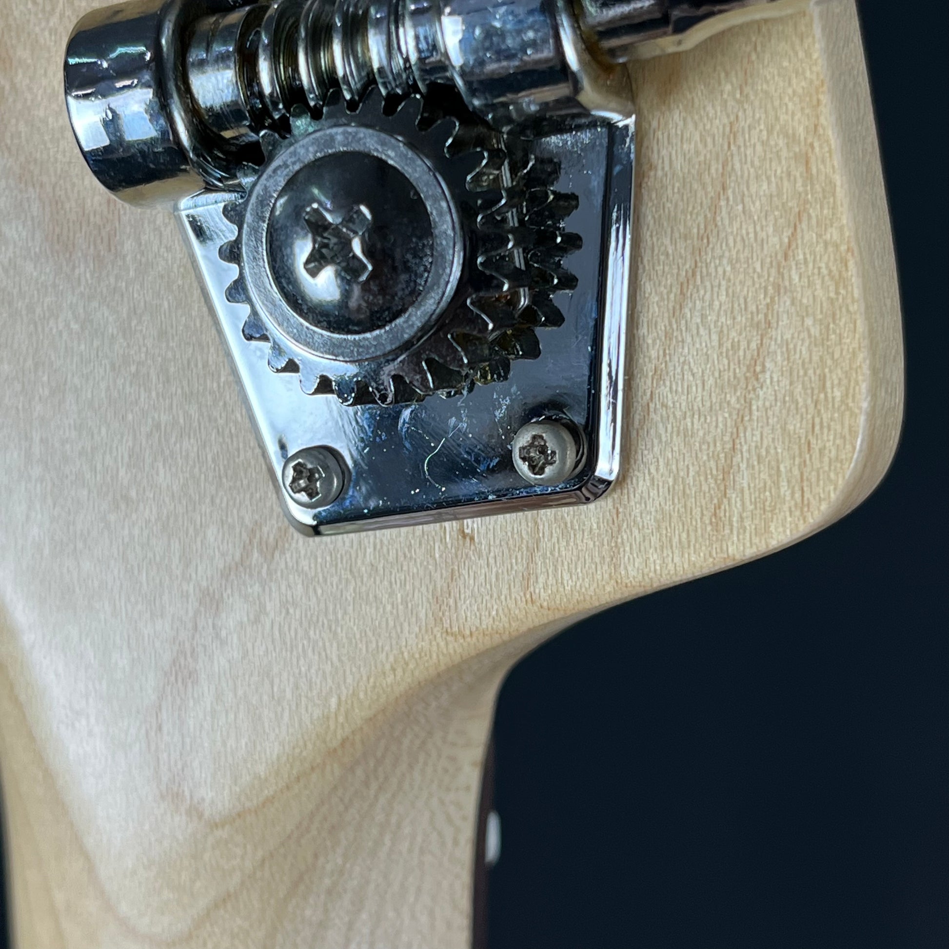 Bacchus BJB-1R Fretless
