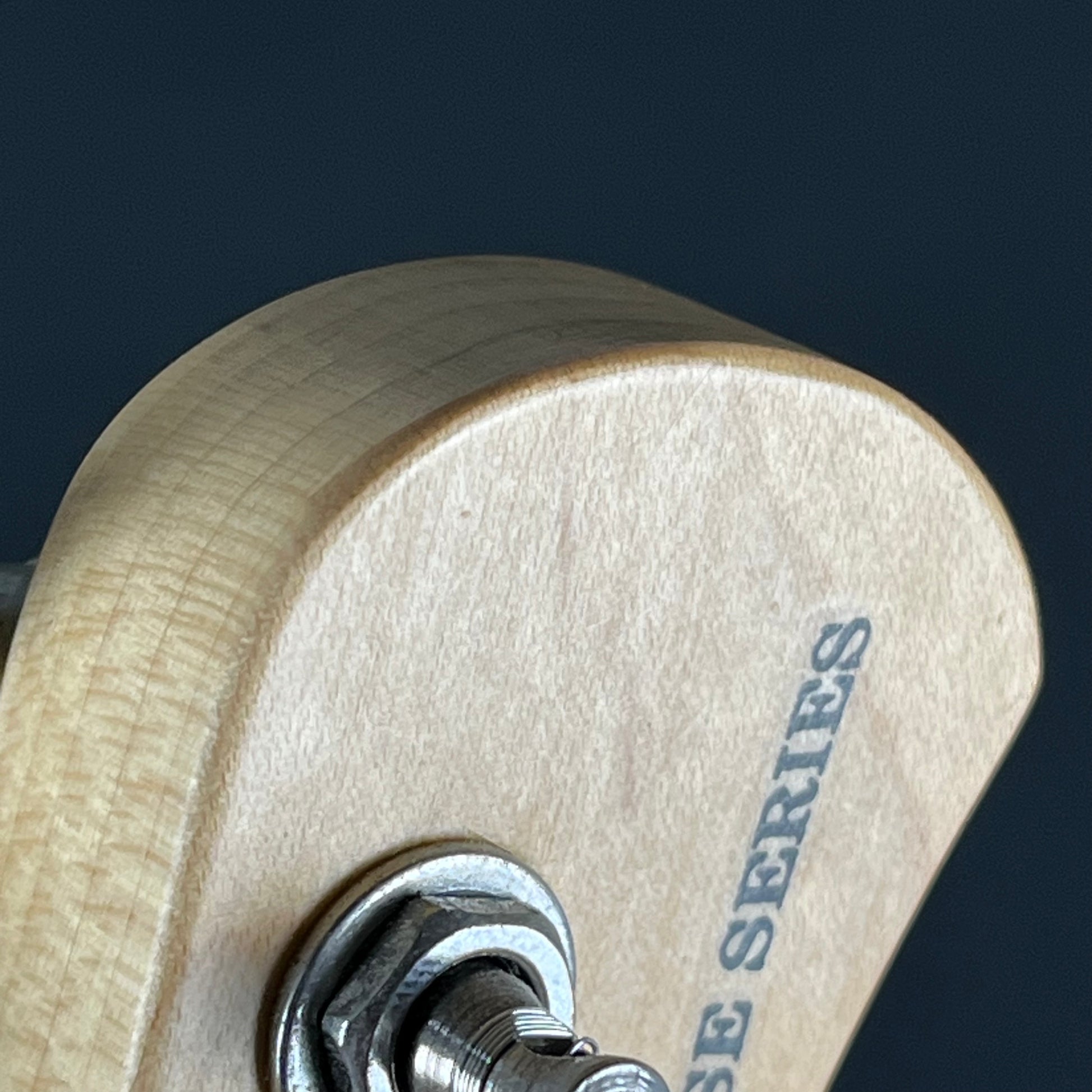 Bacchus Universe Series Telecaster