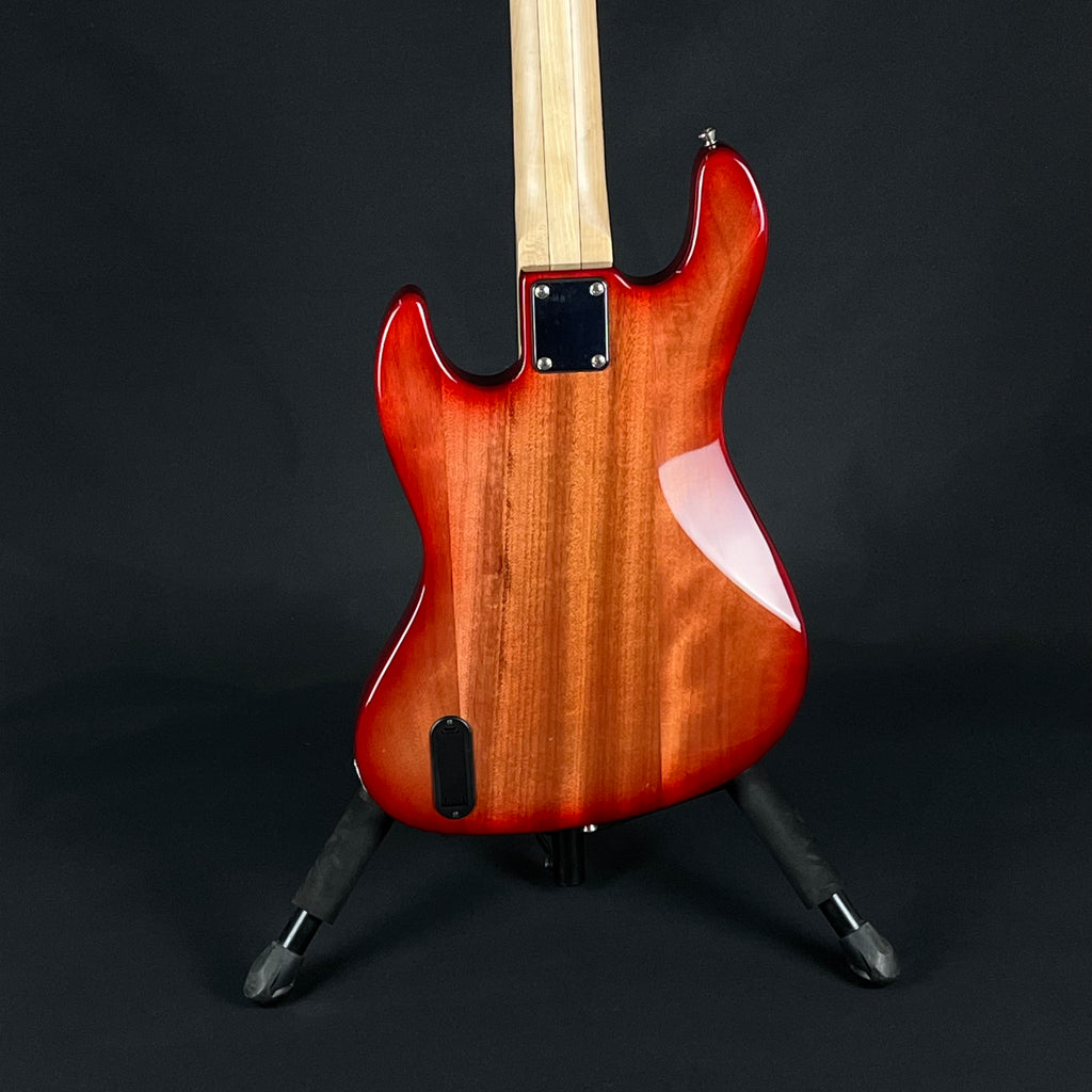 Bacchus JB5-BP Active