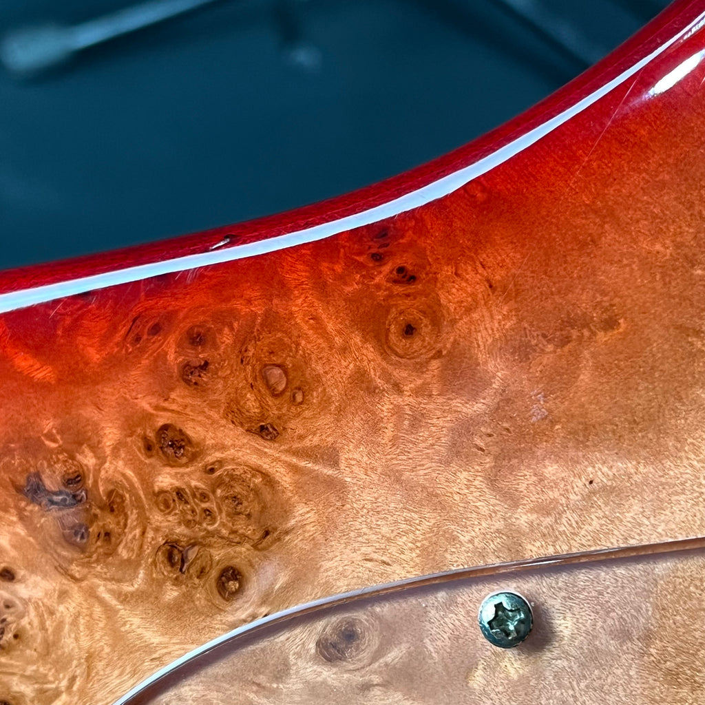 Bacchus JB5-BP Active