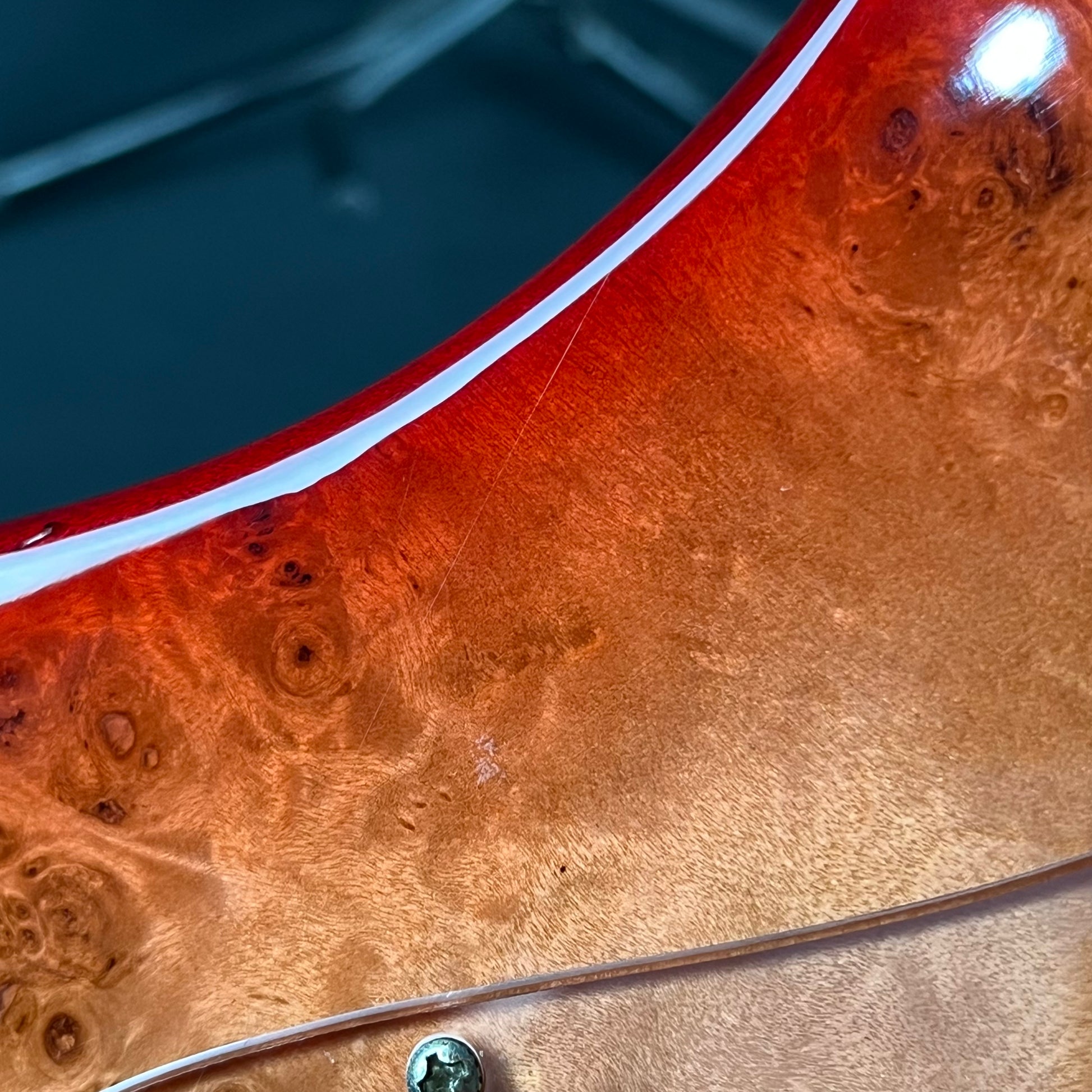 Bacchus JB5-BP Active