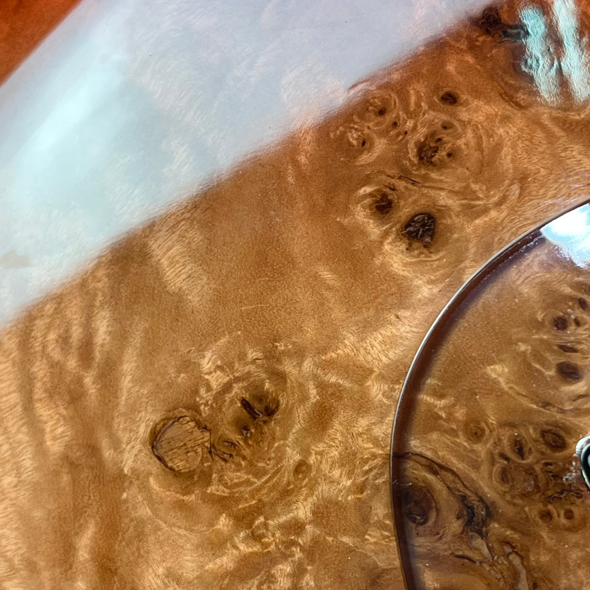 Bacchus JB5-BP Active