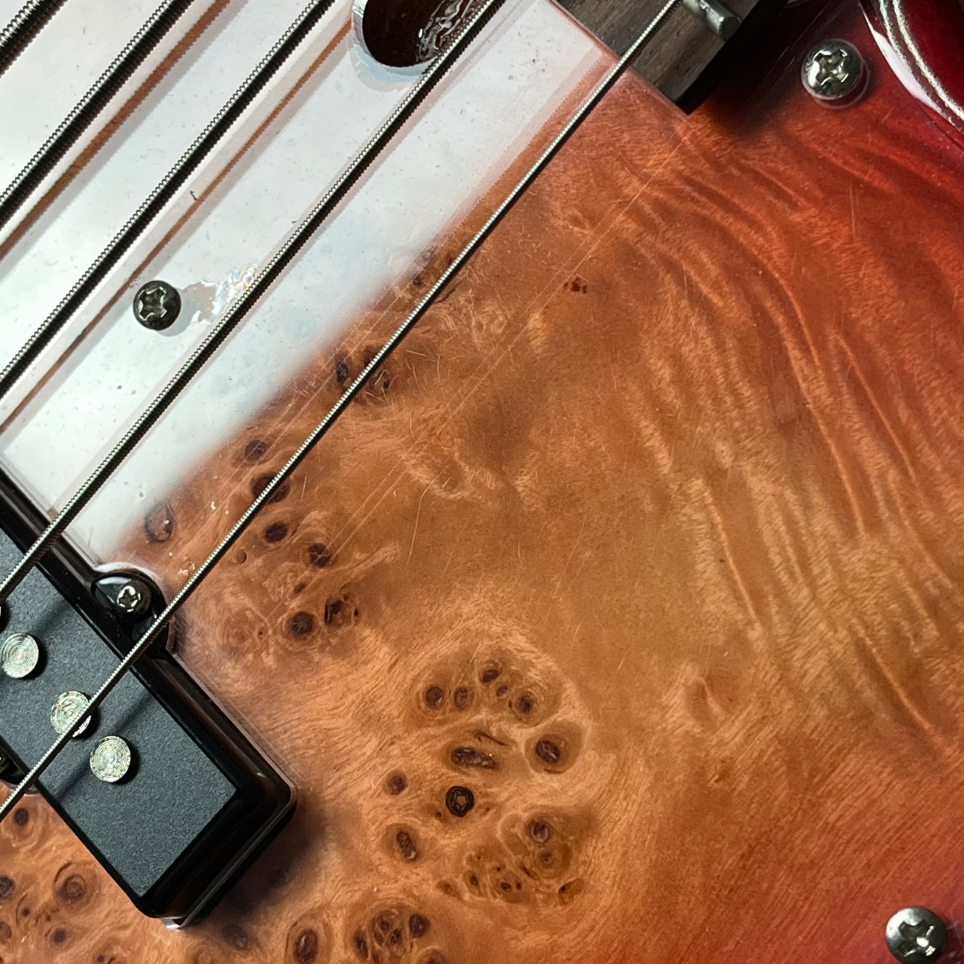 Bacchus JB5-BP Active