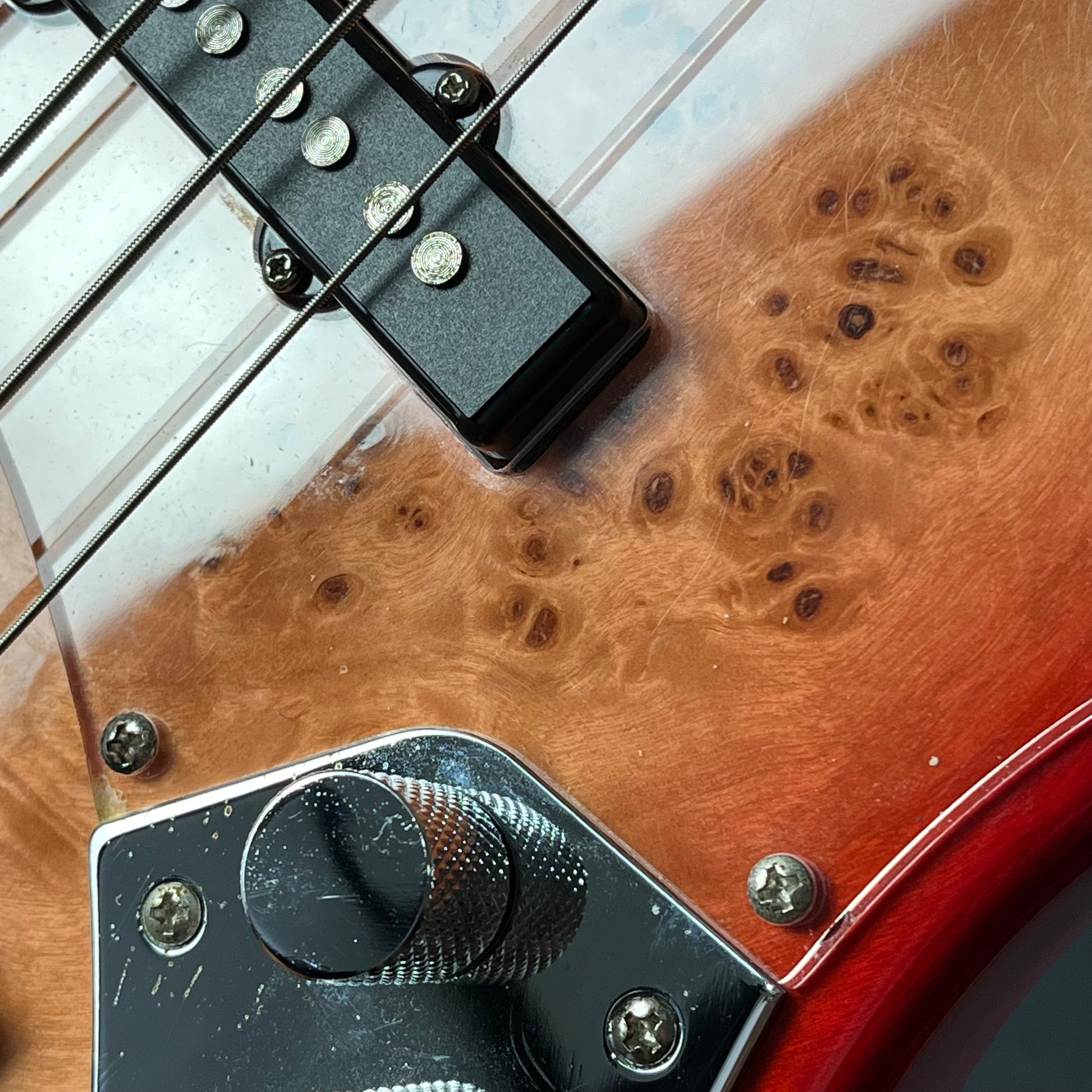 Bacchus JB5-BP Active