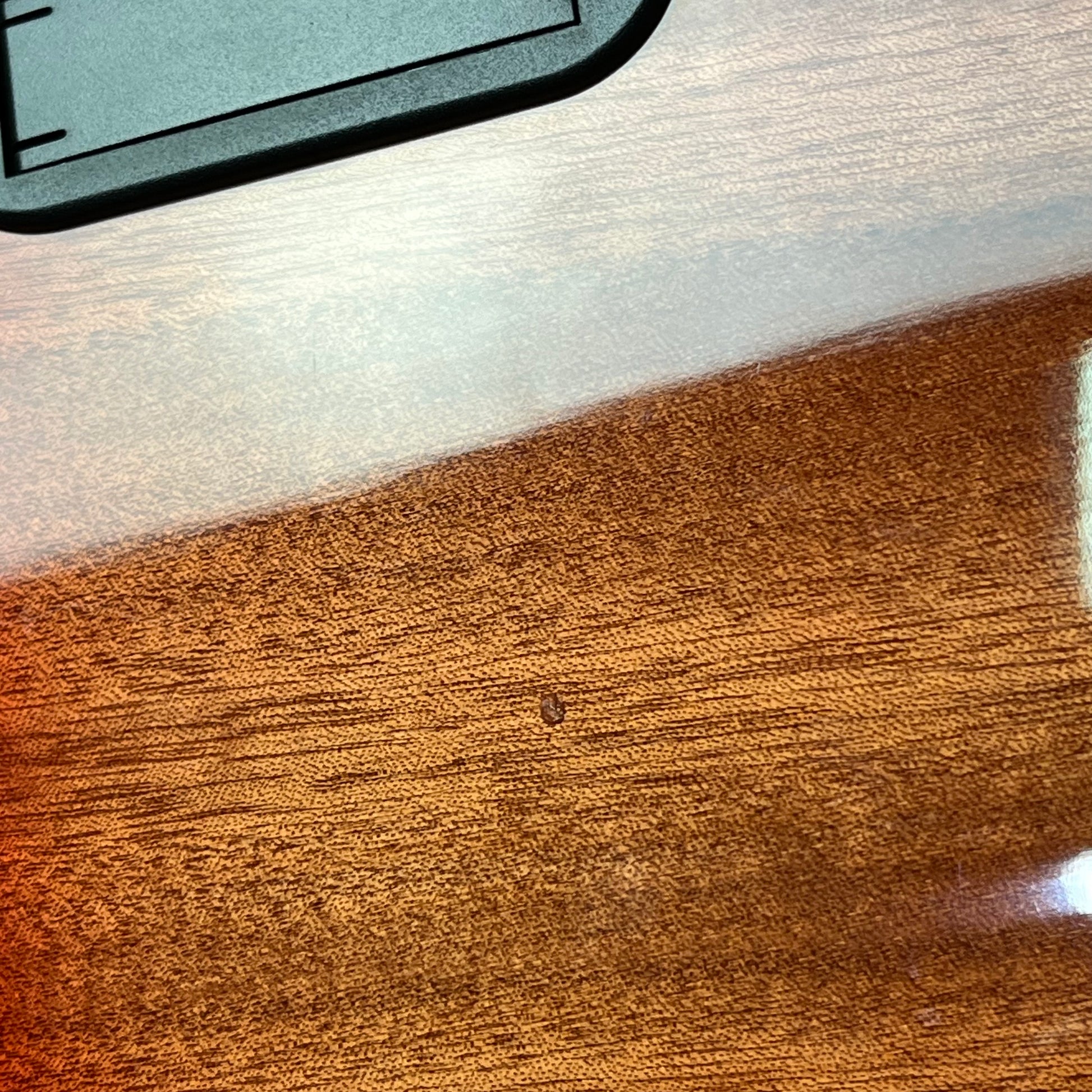 Bacchus JB5-BP Active