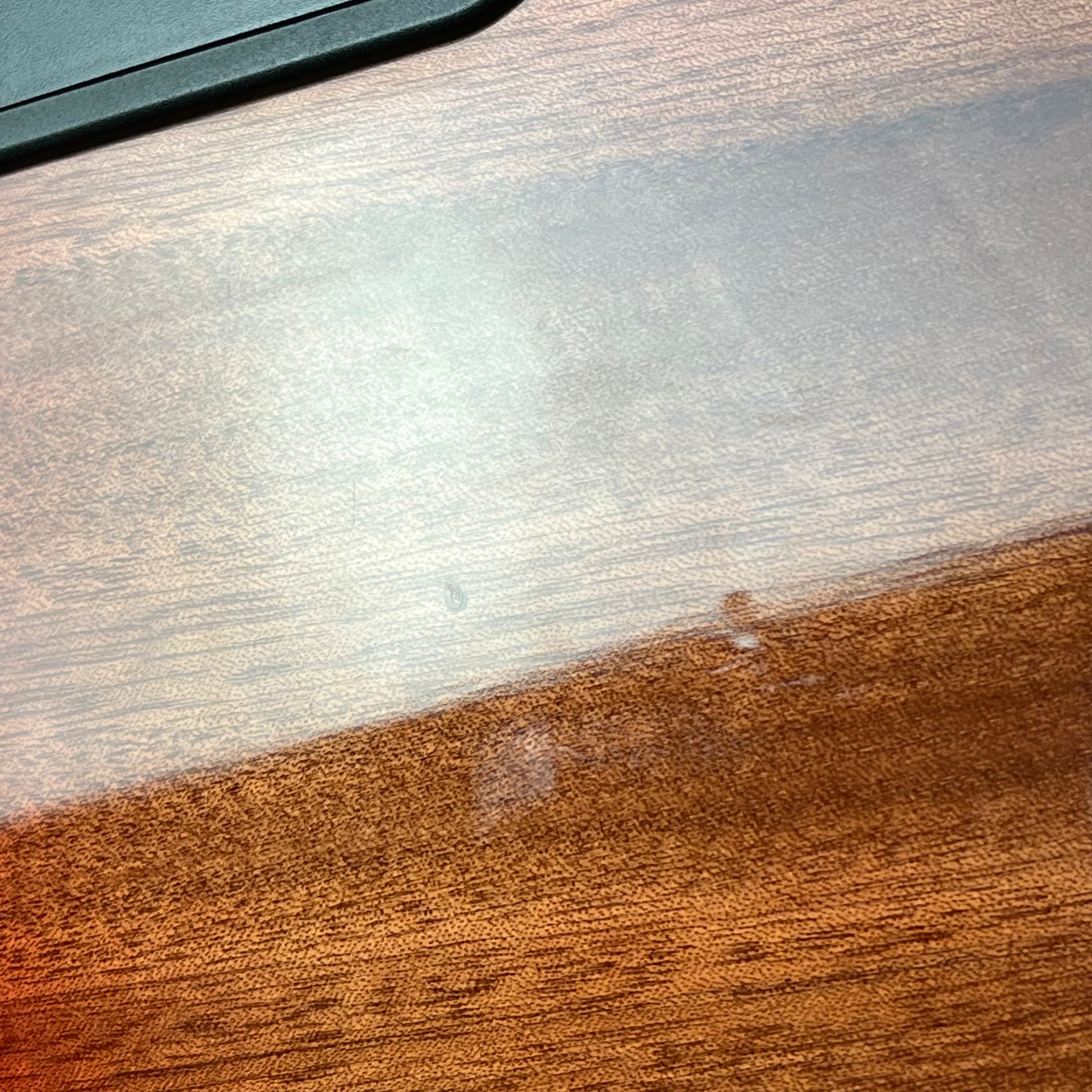 Bacchus JB5-BP Active