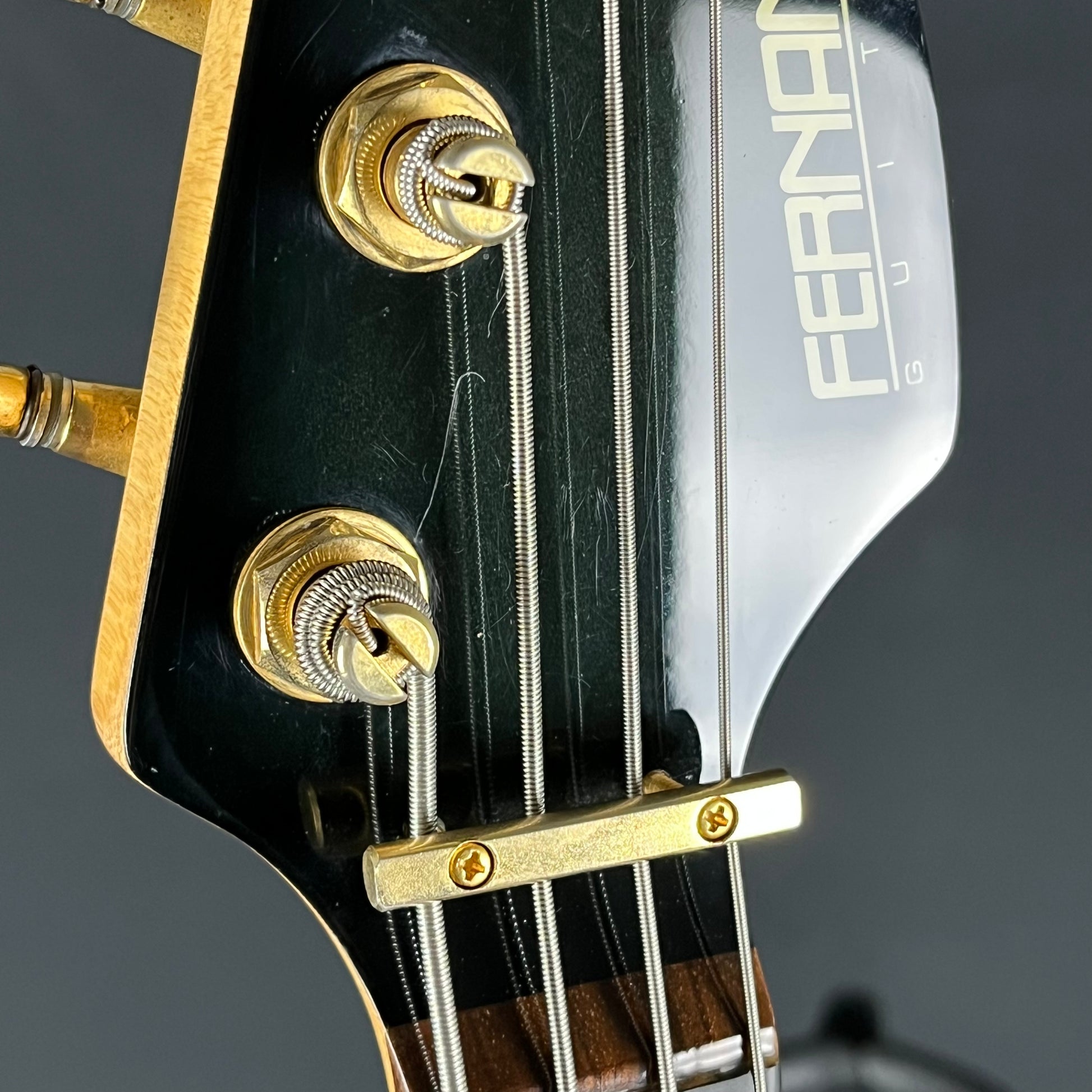 FERNANDES FRB-55 Bass
