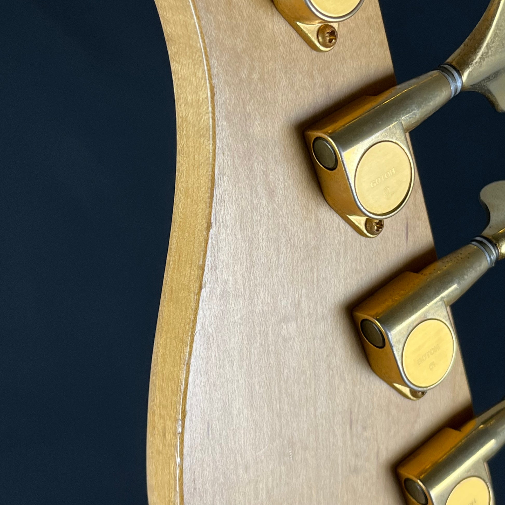 FERNANDES FRB-55 Bass