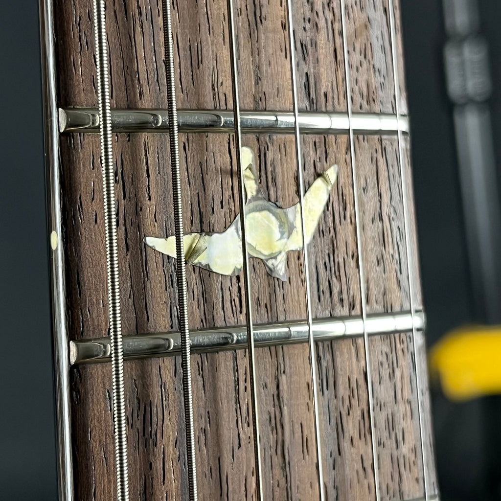 PRS SE Singlecut 2008
