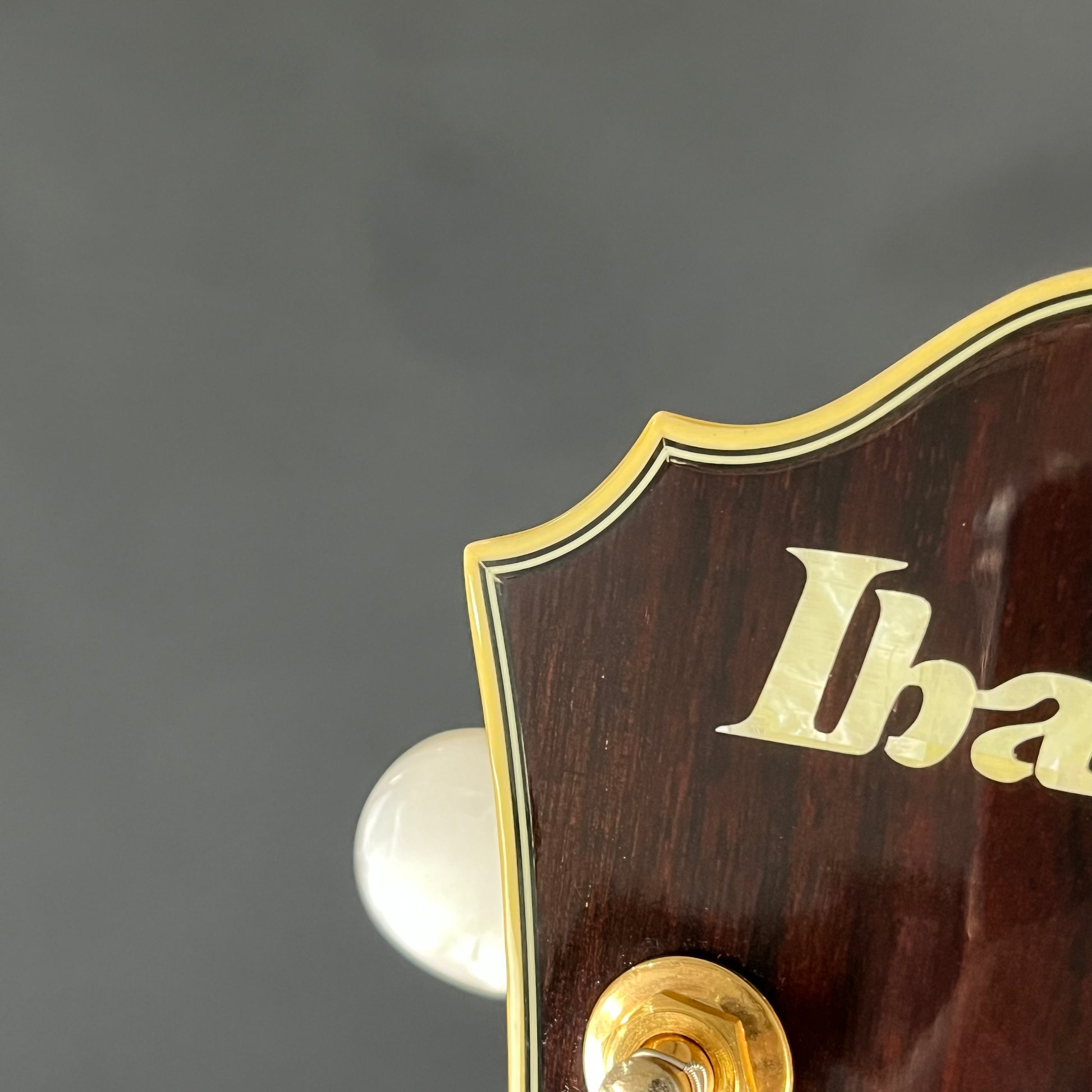 Ibanez AS103-NT