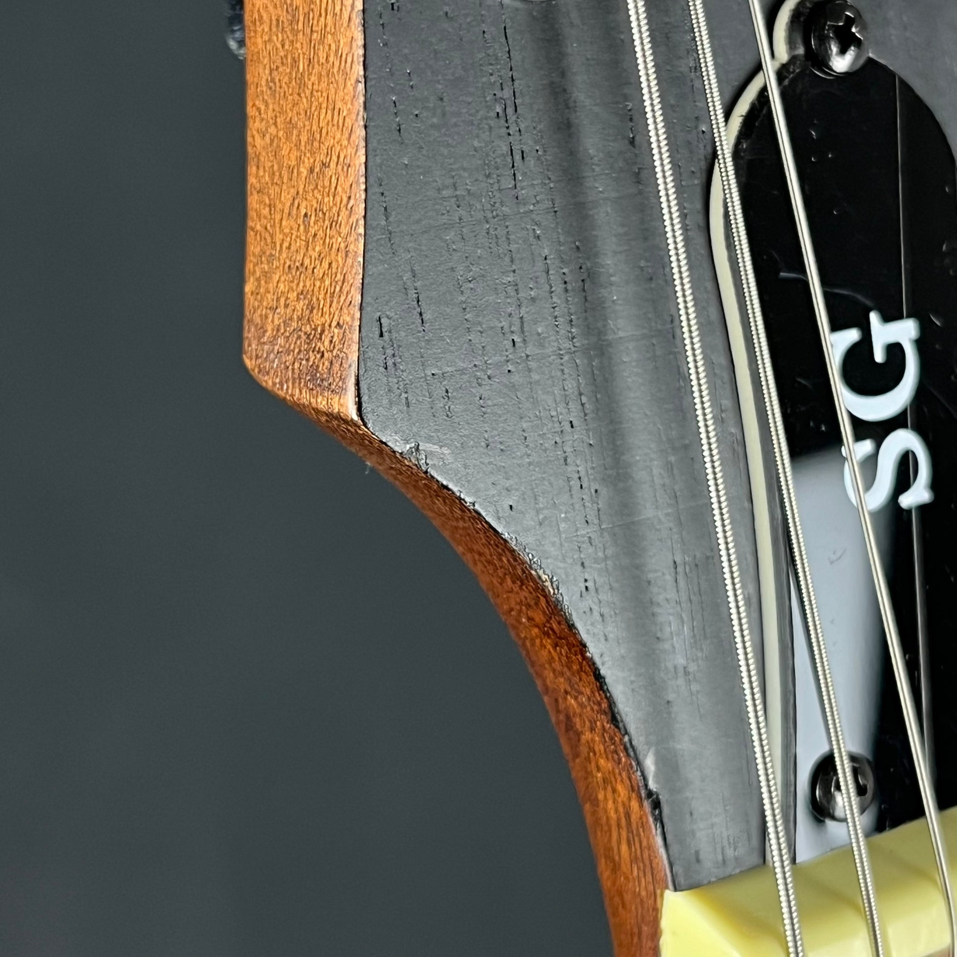 Epiphone SG Special