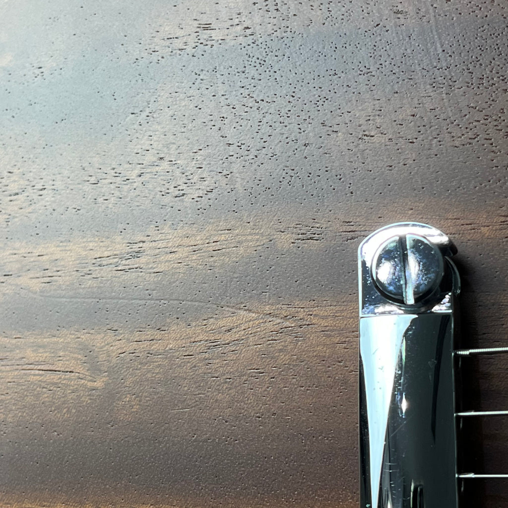 Epiphone SG Special