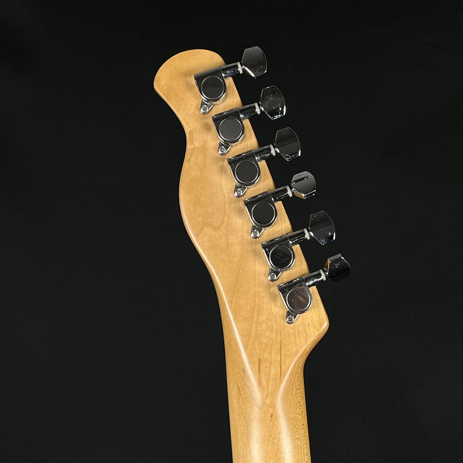 Bacchus Universe Series Telecaster