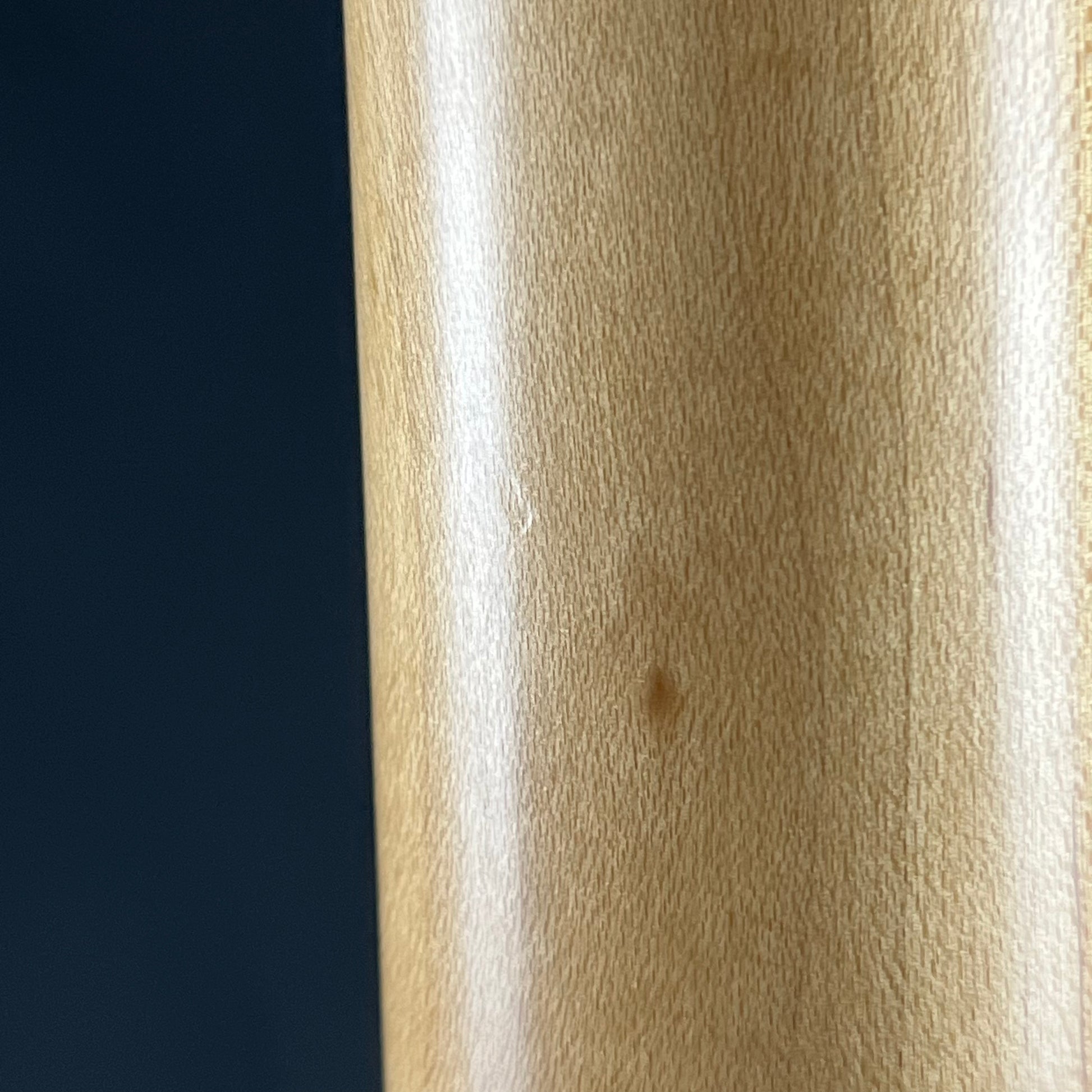 Bacchus Universe Series Telecaster