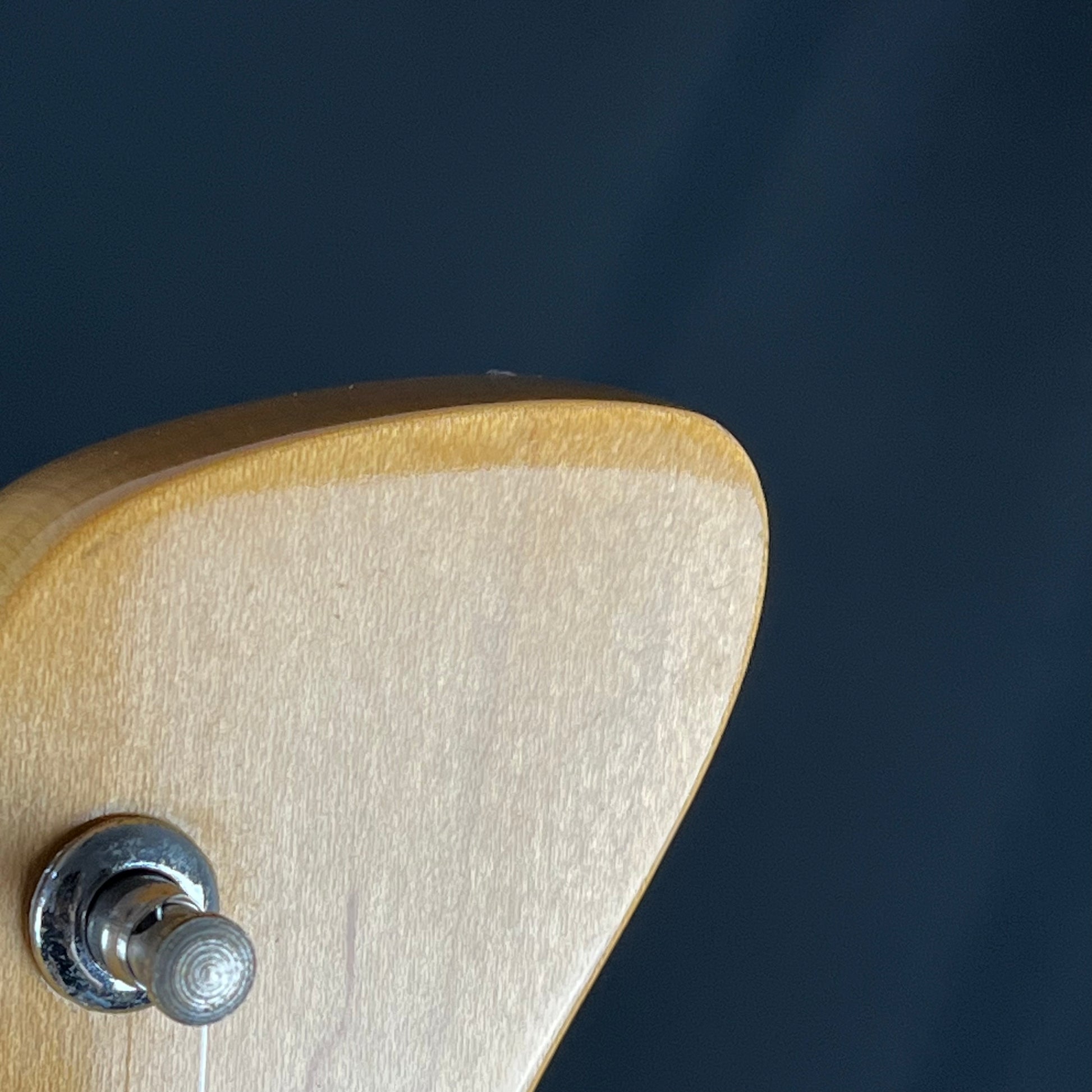 Fernandes Stratocaster