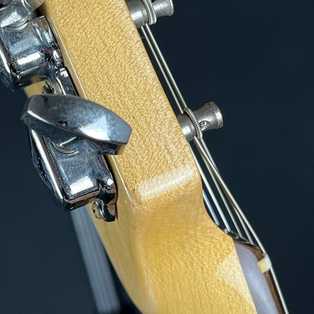 Fernandes Stratocaster