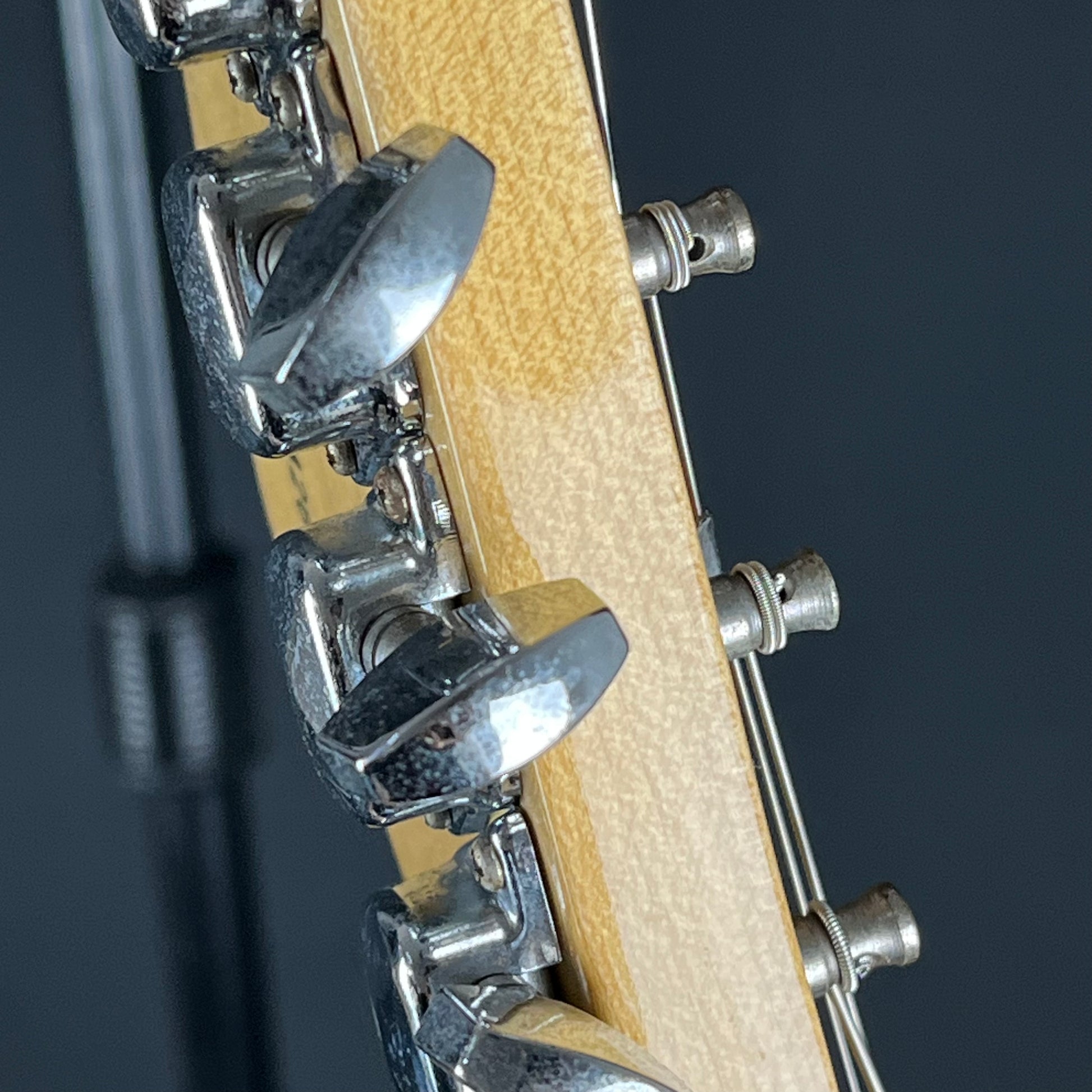 Fernandes Stratocaster