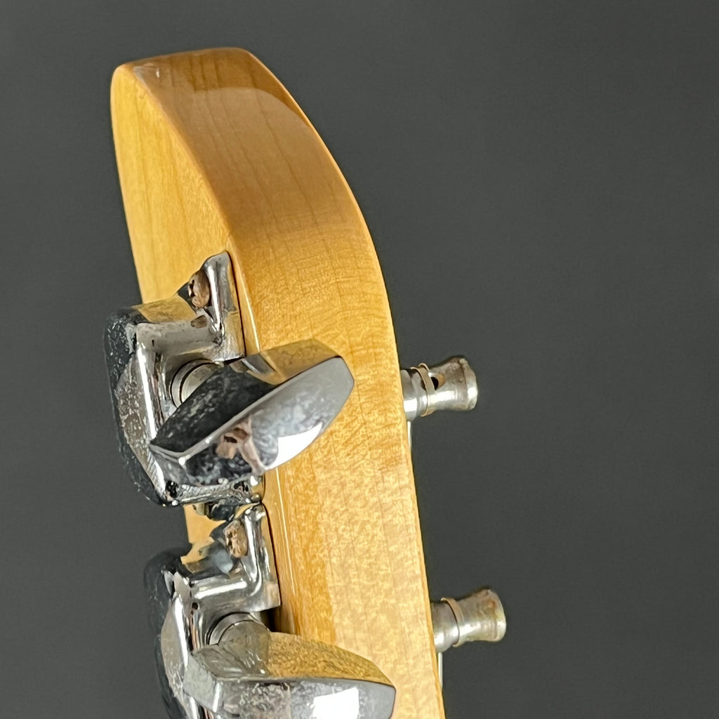 Fernandes Stratocaster