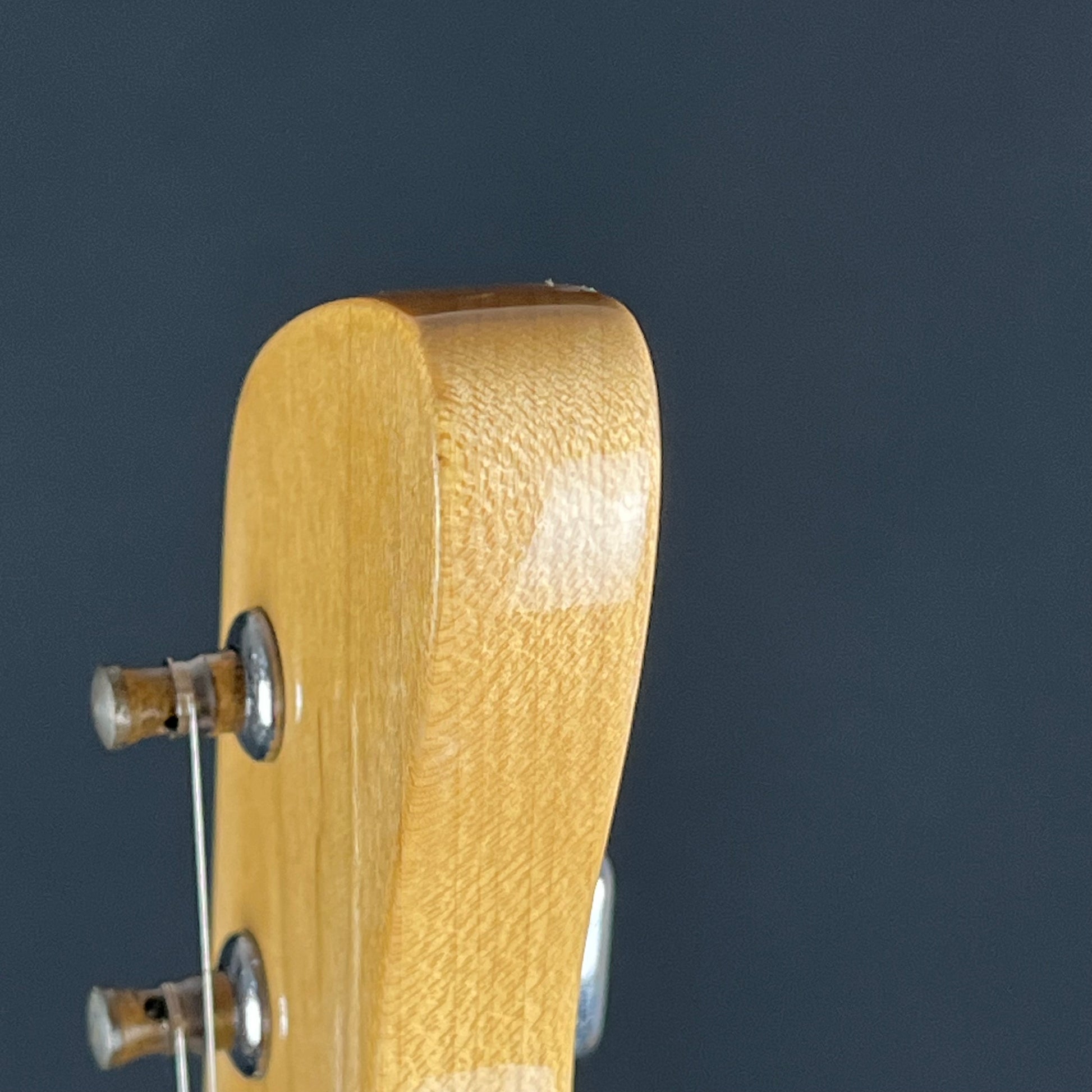 Fernandes Stratocaster
