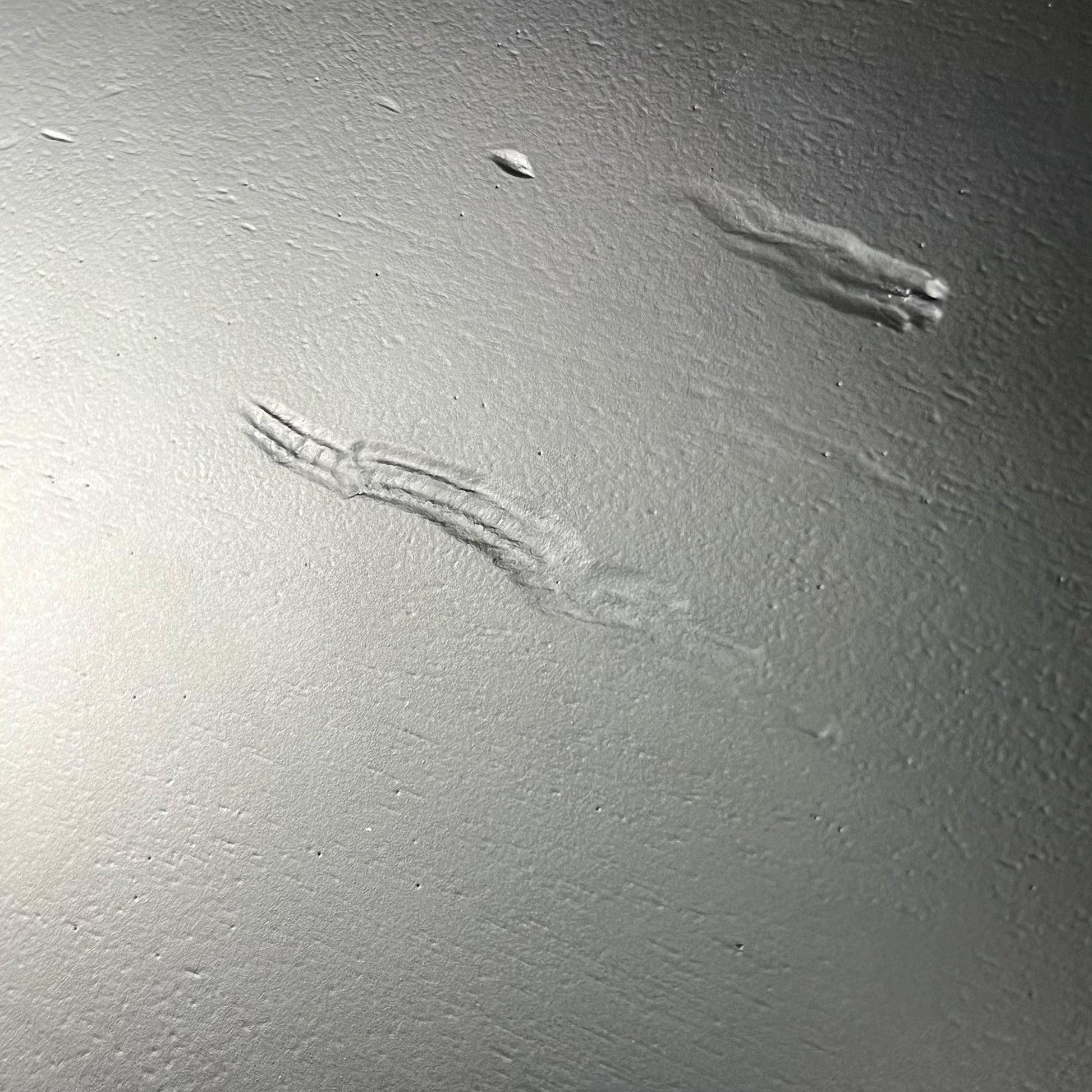 Epiphone Les Paul SL